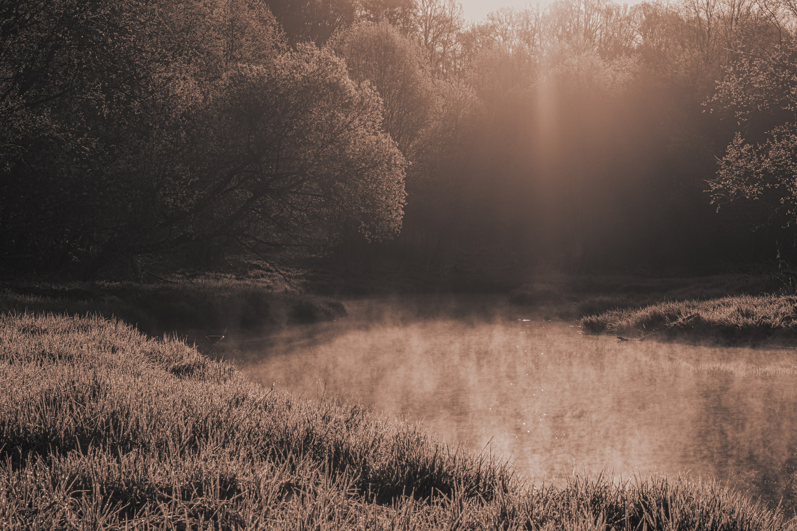 ПЕЙЗАЖ. Фотограф Николай Костюк