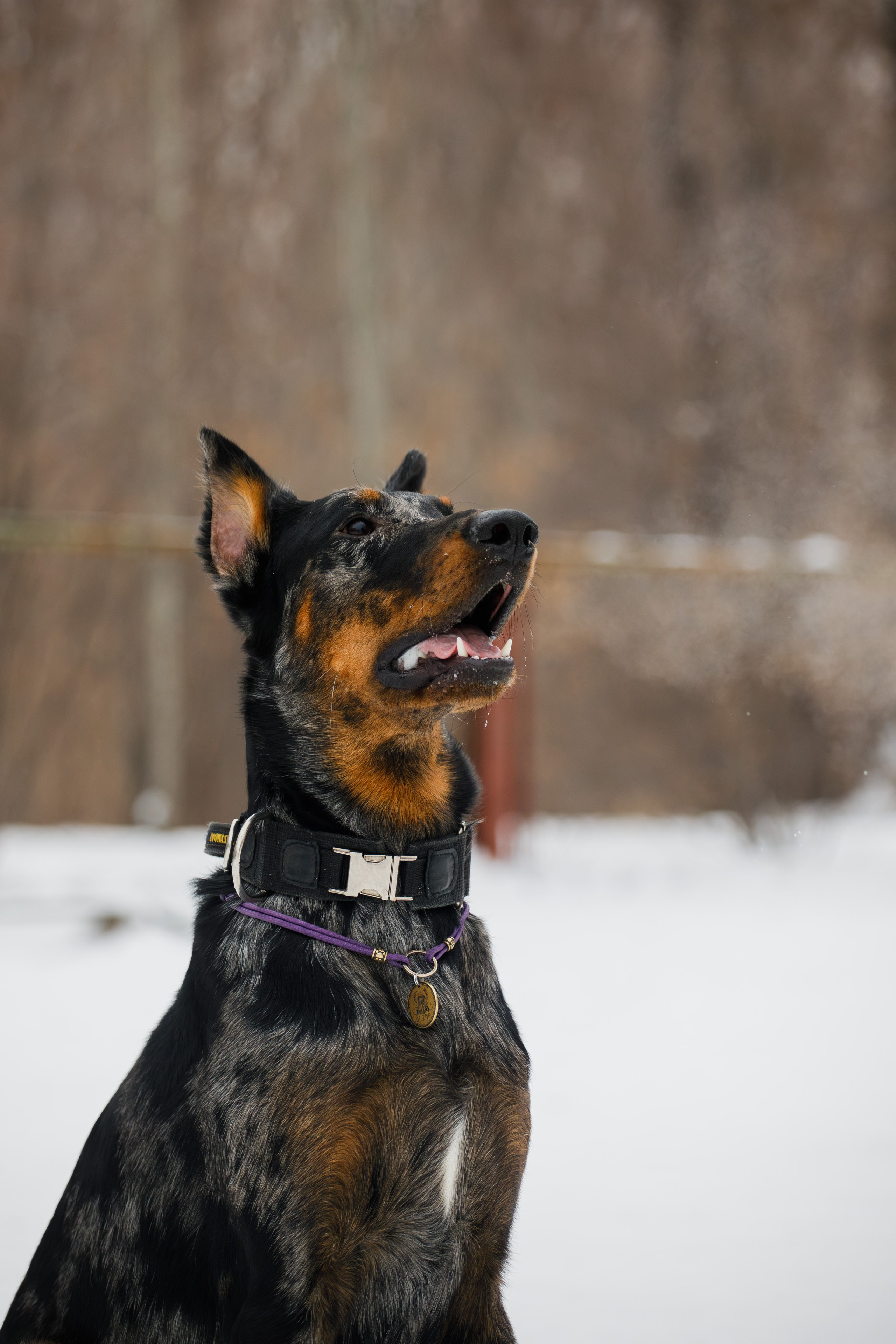 Андрей и Олимп. Фотограф Екатерина Козловская