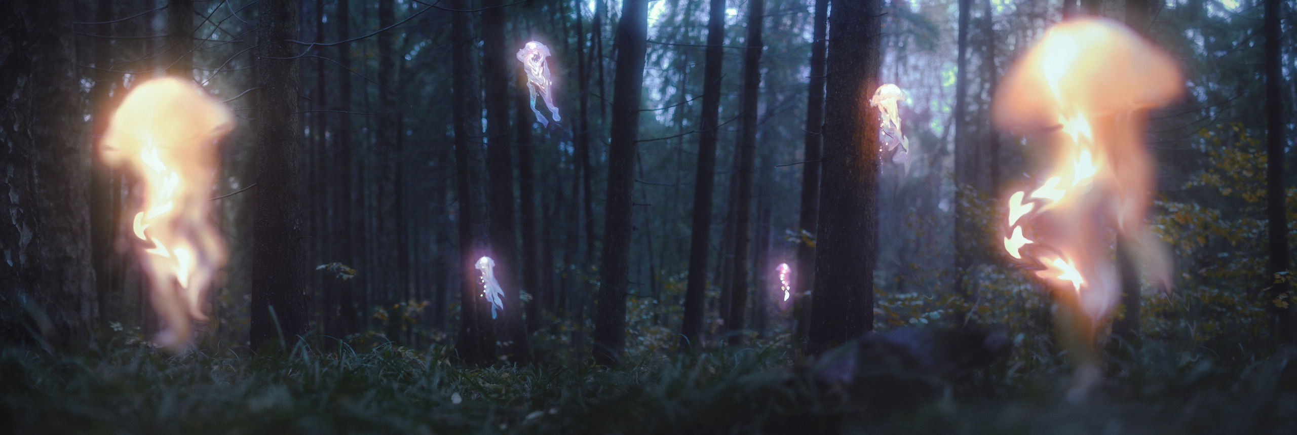 МОИ ПРОЕКТЫ. YOKAZE