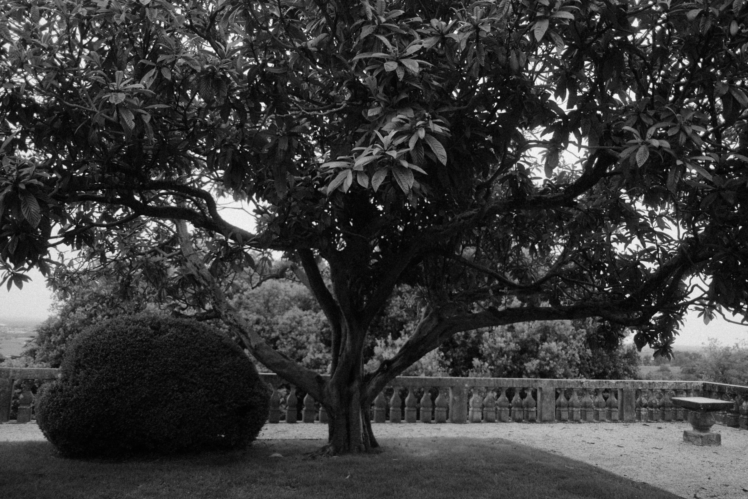 Свадебный фотограф в Италии. Свадебный и семейный фотограф Москва, Спб, Крым Игорь Сазонов