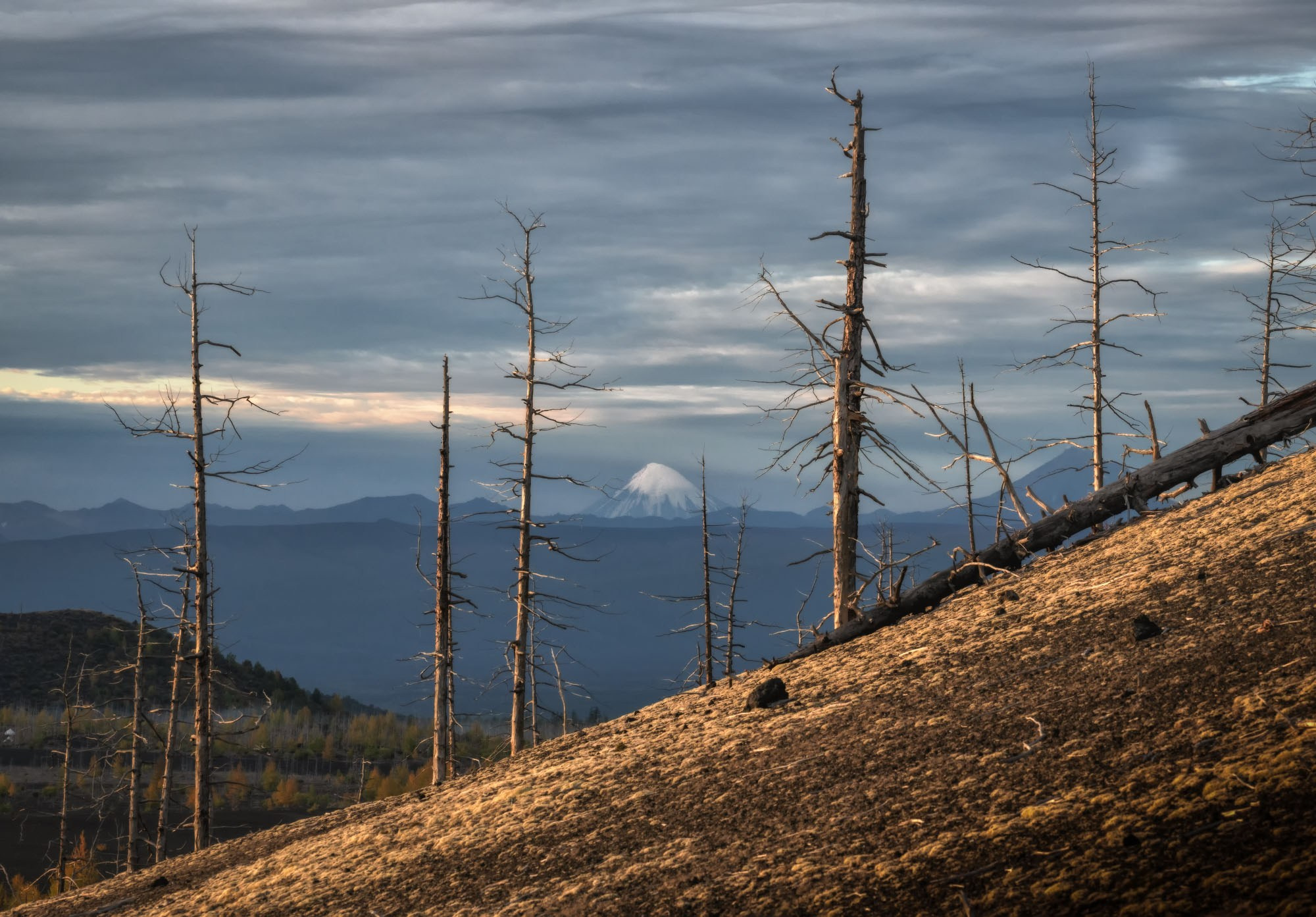 Фотографии Камчатка