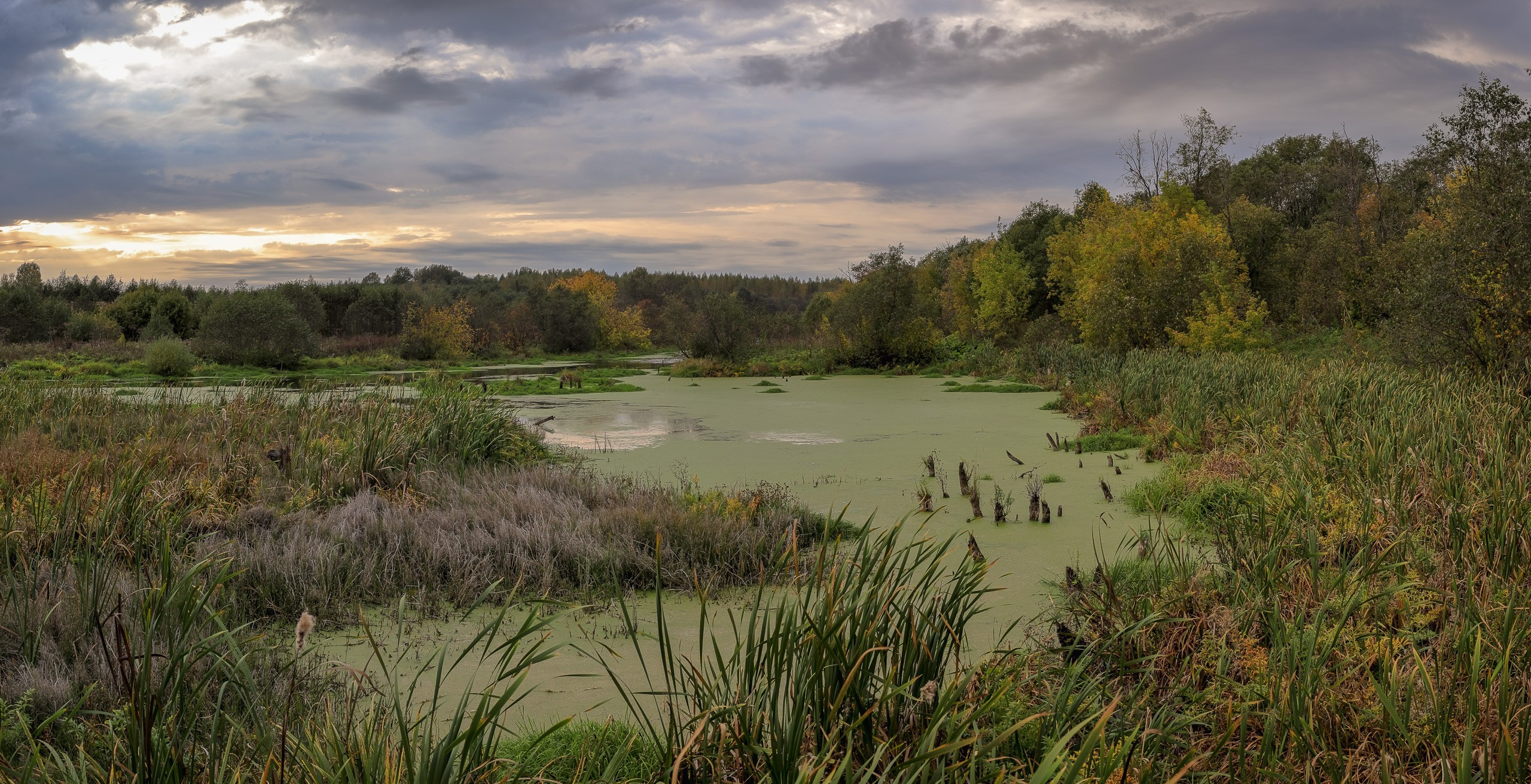 Екатерининский канал осенью