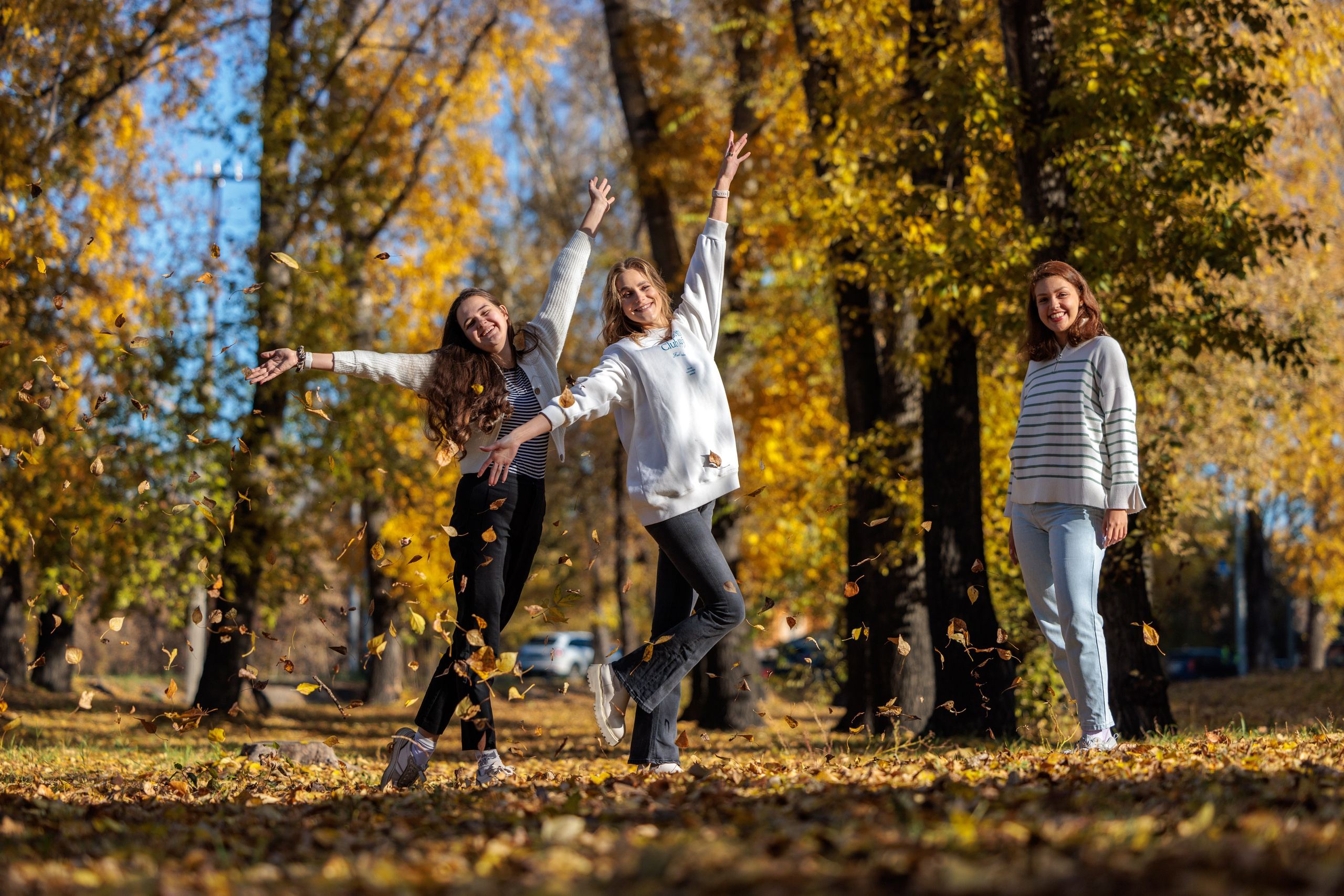 Осень в Абакане. Ваши Истории. Фотограф/видеограф. Абакан