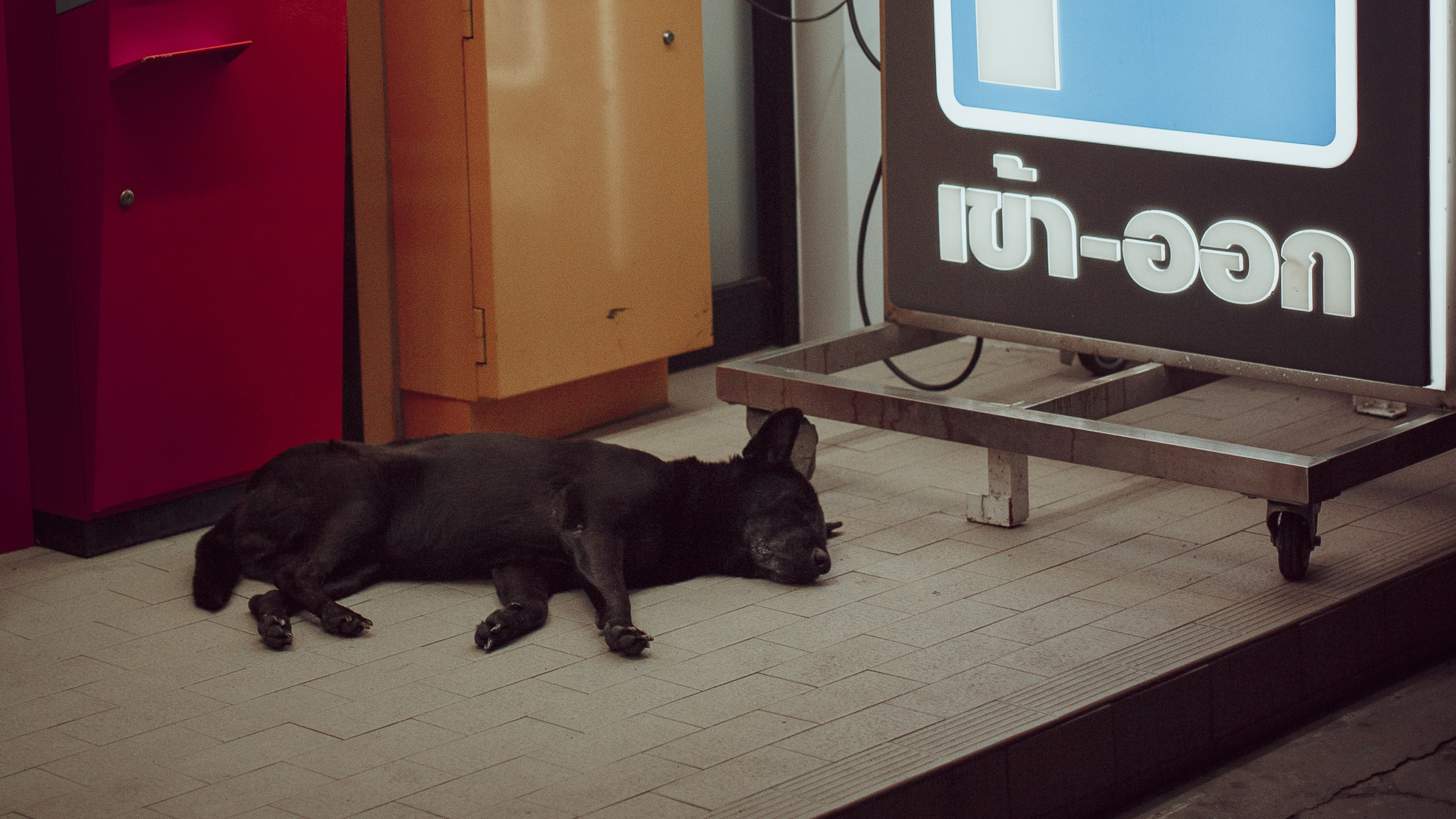 Самуи Собачий остров. Ню Фотограф Александр Касымов Москва, фотосессии, Химки фотограф