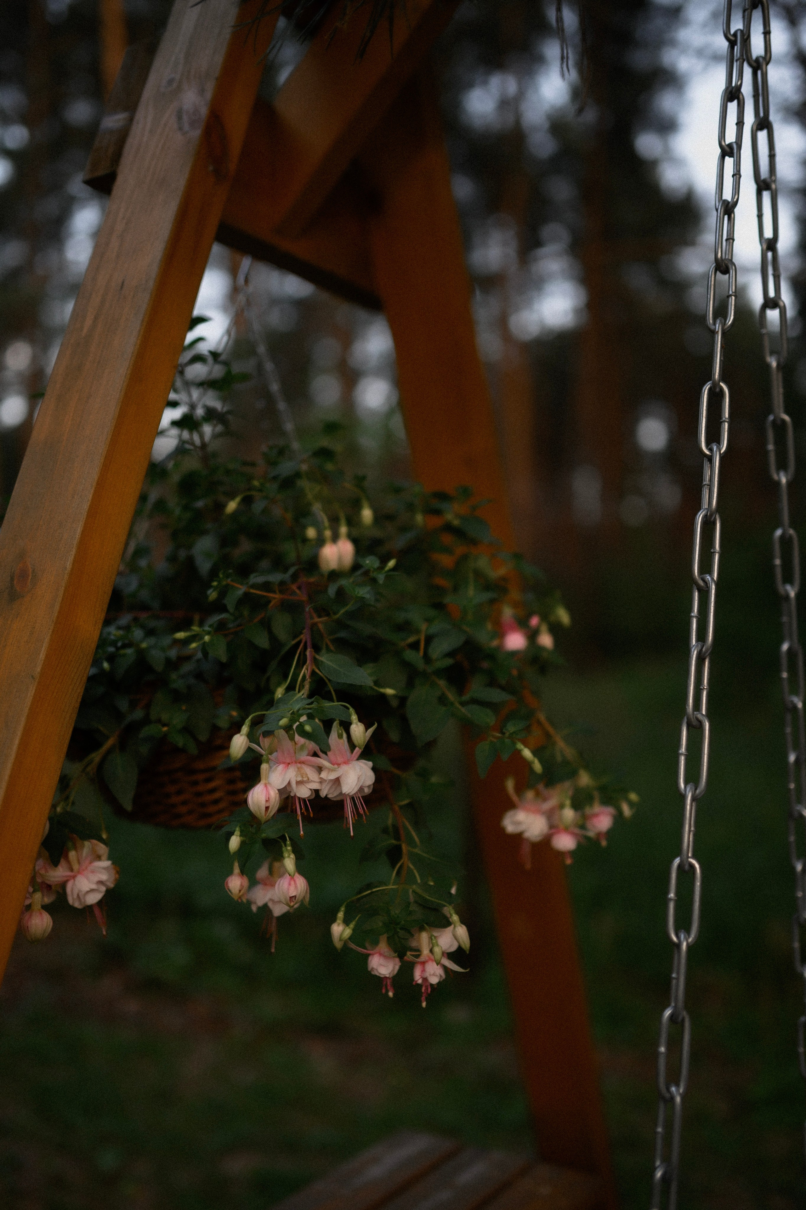 Надя и Алиса в ресторане Кедр. Семейный и свадебный lifestyle-фотограф в Москве Мария Петрова