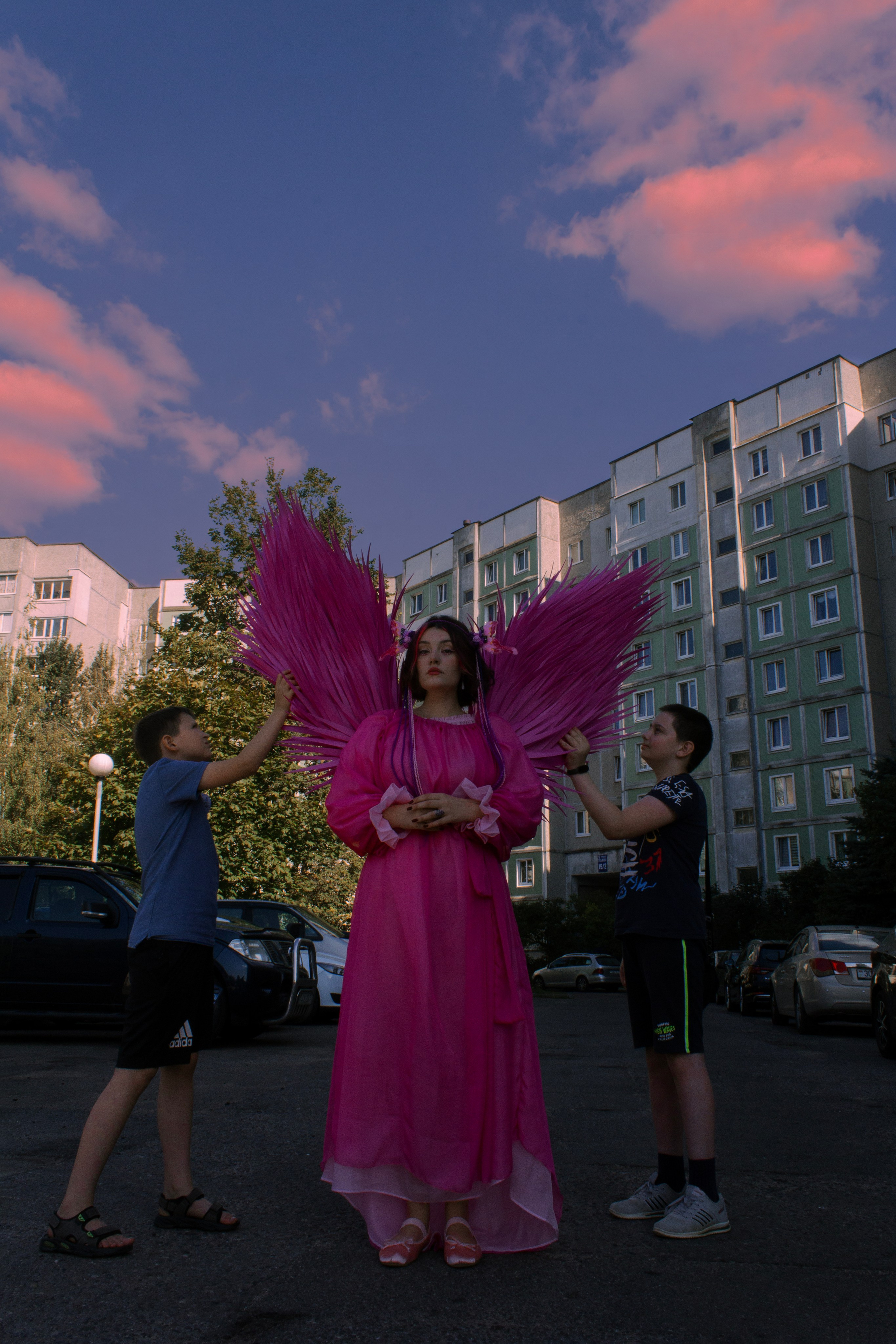 Земля под розовыми крыльями