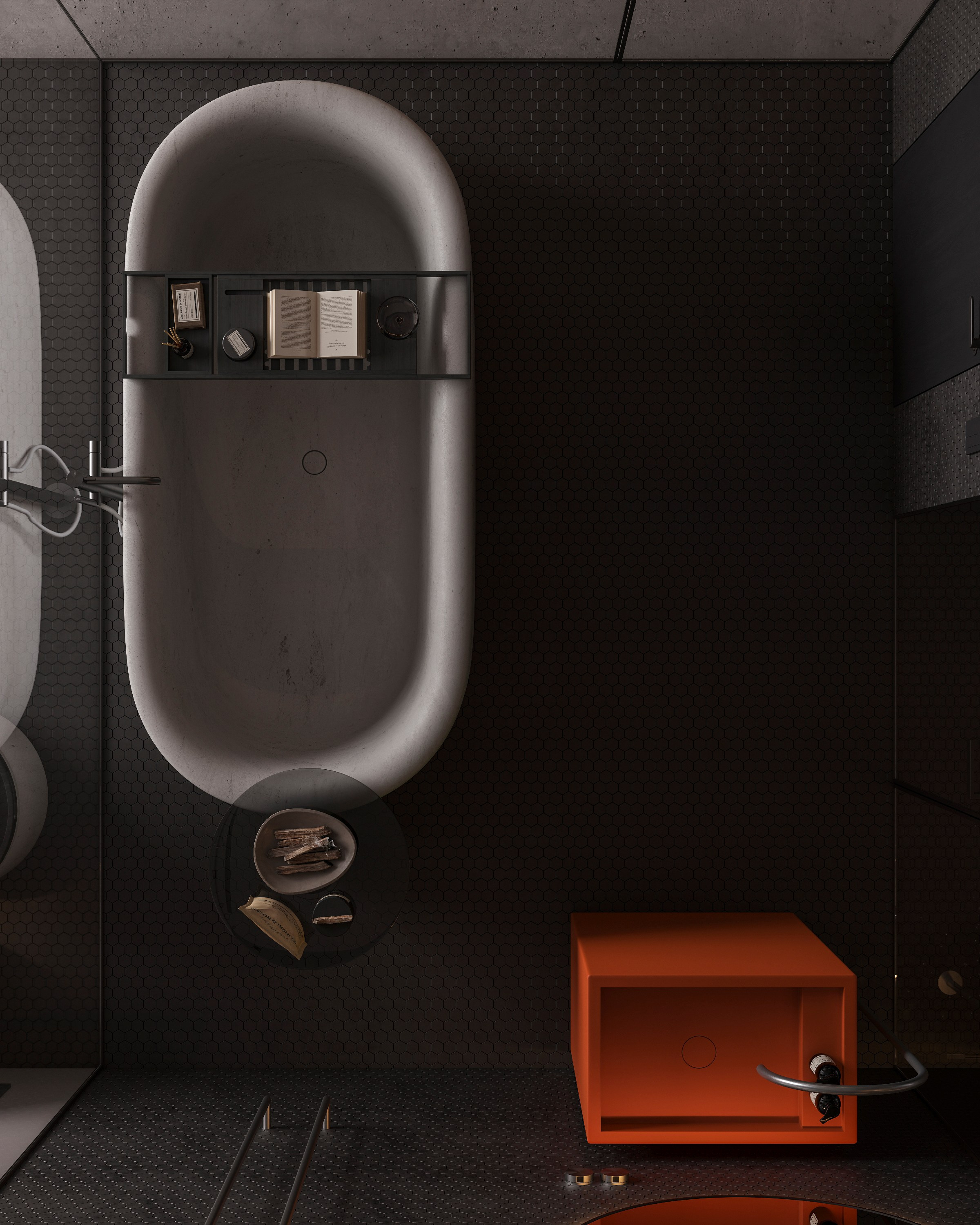 LUXURIOUS SIMPLICITY | BLACK CONCEPT. Interior Visualization by Valerie Stetyukevich