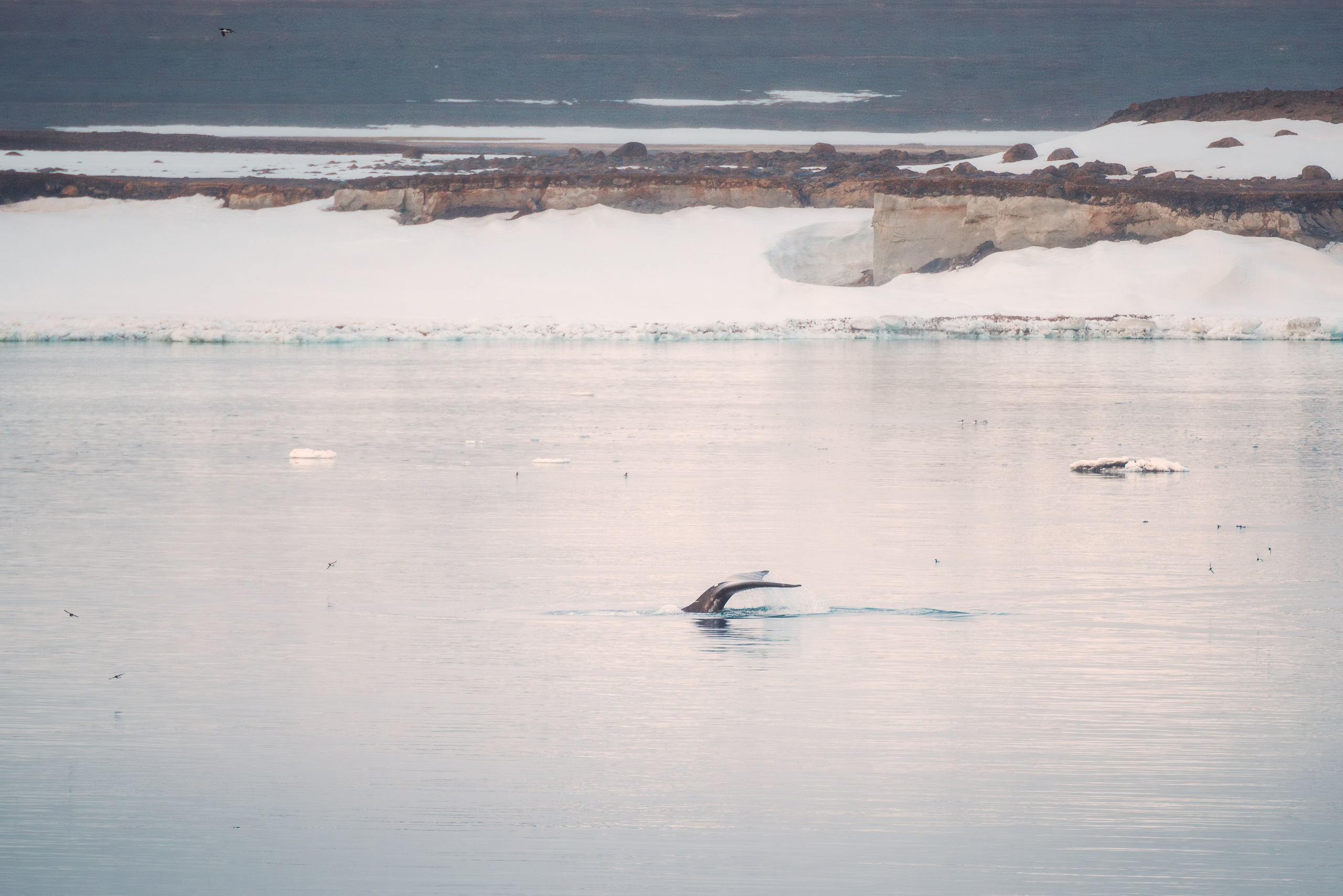 Арктика. Аэросъемка в Архангельске, Александр Ермолин
