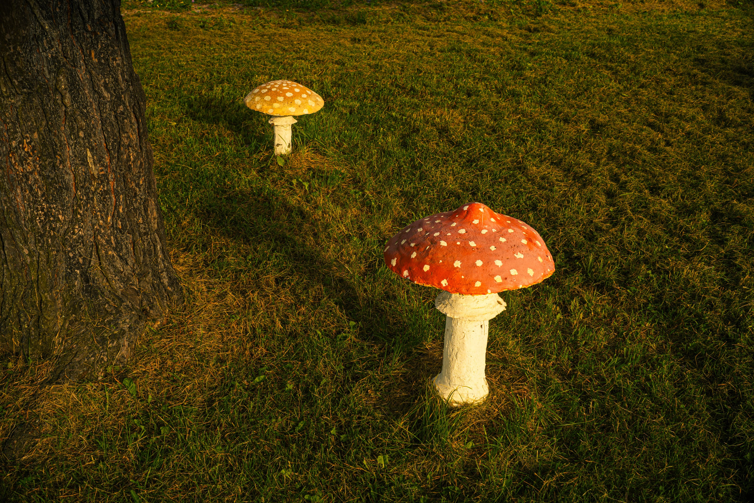 Майхинское хозяйство. Иван Зайцев (IZIART) — создание культурного кода через фото и видео
