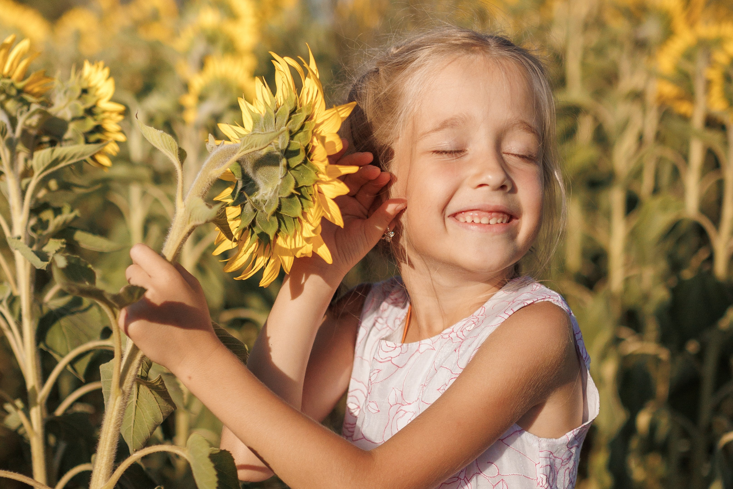 Дети и подсолнухи. Семейный фотограф lifestyle в Новосибирске Елена Шпилевая