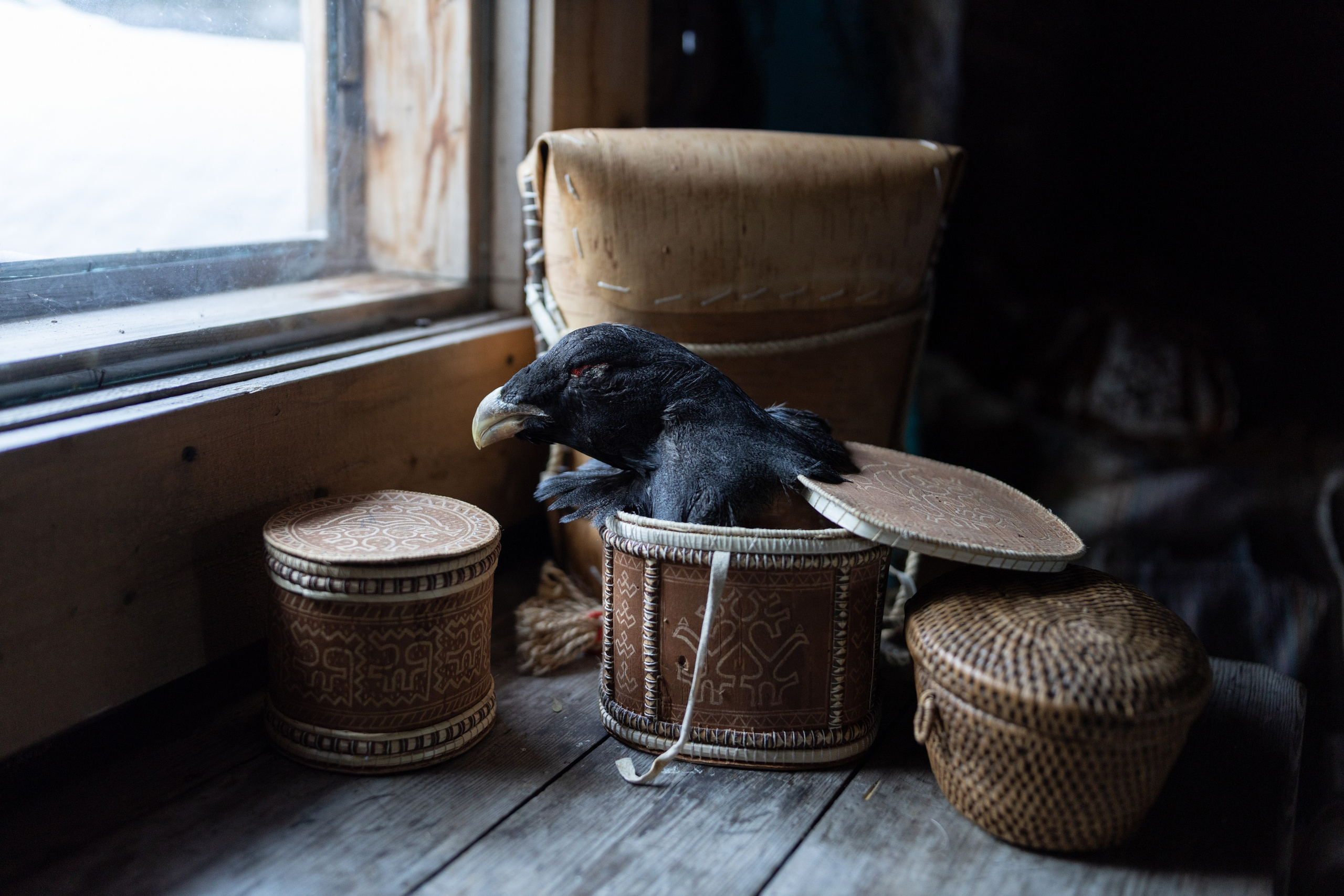 Земля кошачьего локотка (2025). Документальный фотограф Зданович Антон