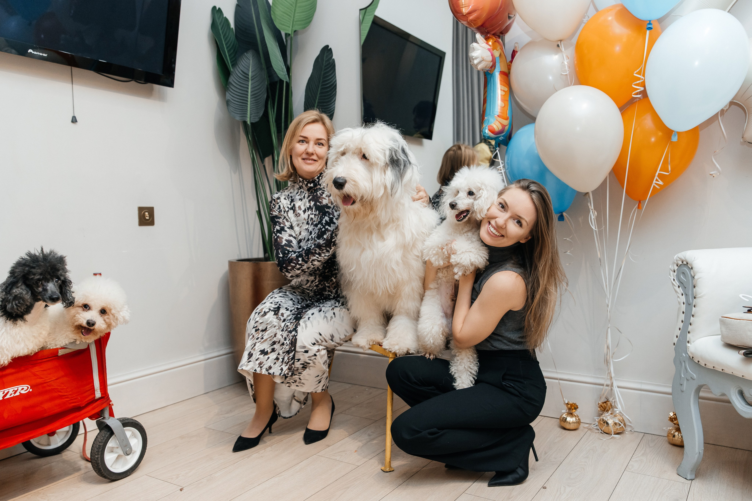 Даниил 4 года. Фотограф Москва Шептаев Артём