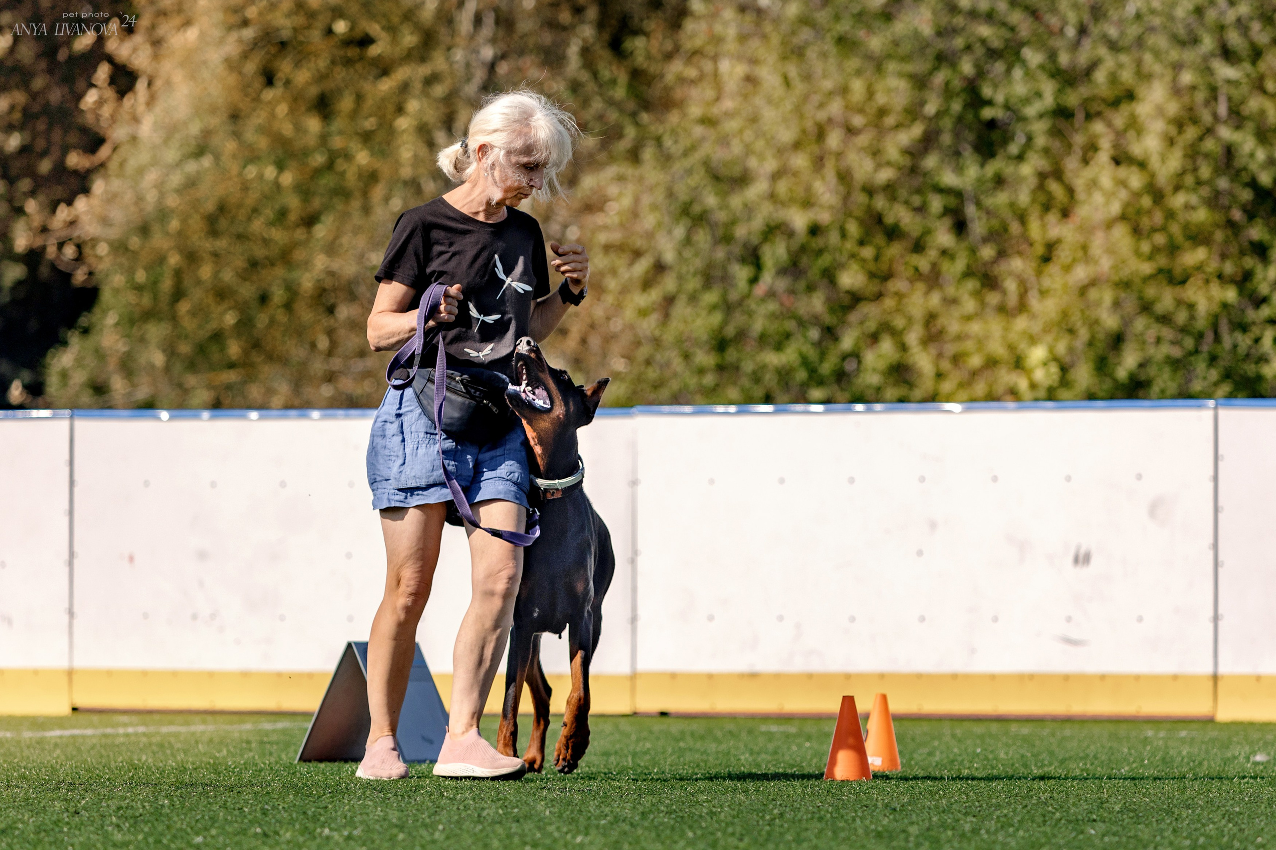 Ралли обидиенс. Фотограф анималист Аня Ливанова | Рыбинск