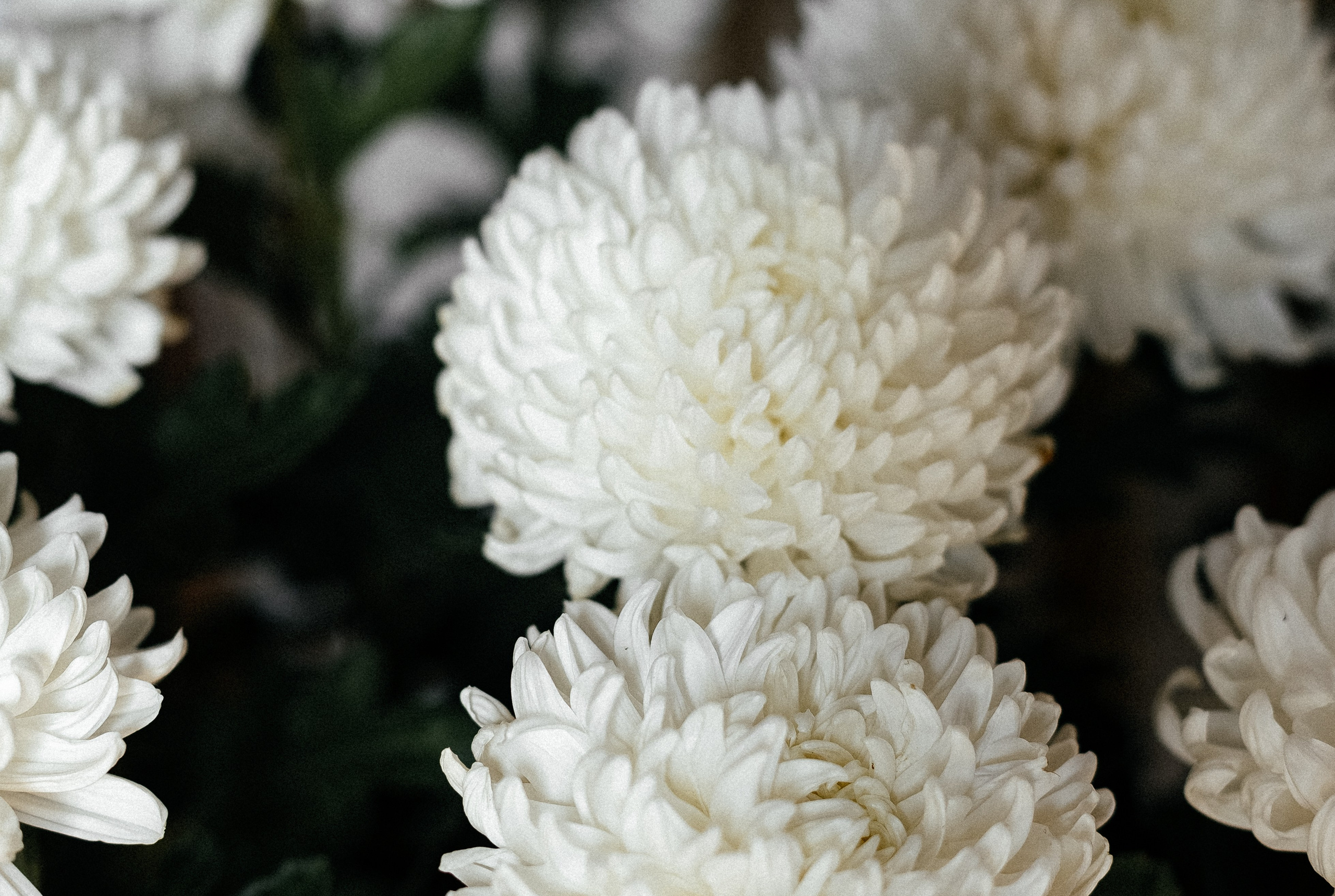 Крещение Александра. Свадебный и семейный фотограф в Таганроге и Ростове Руднева Анастасия