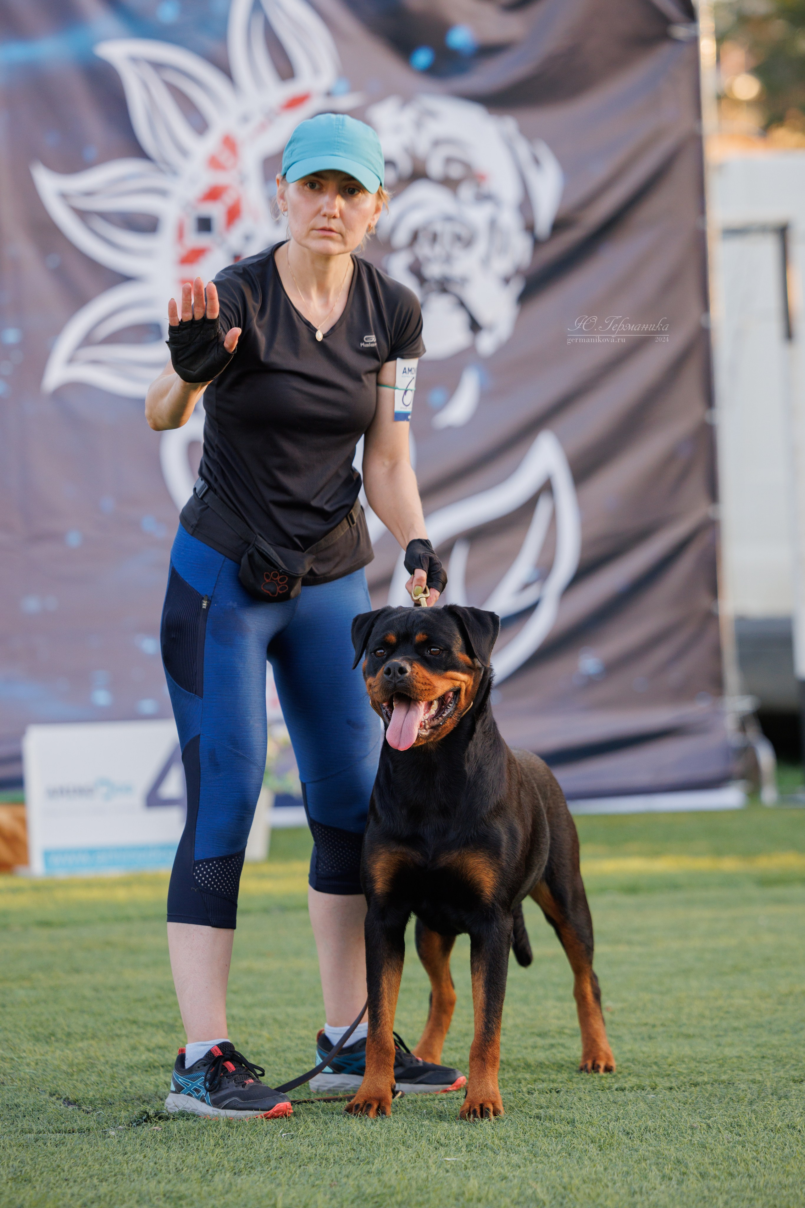 Анапа ротвейлеры 14-15.09.2024. Фотограф-анималист Юлия Германика