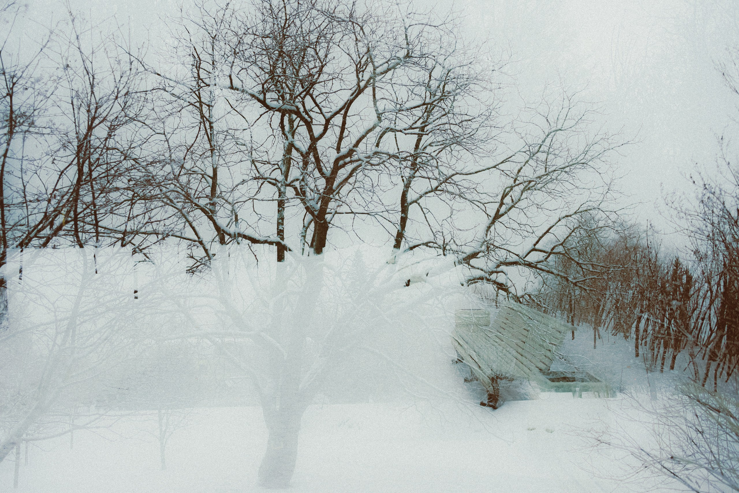 Стрит. Платонов Олег — фотограф Санкт-Петербург