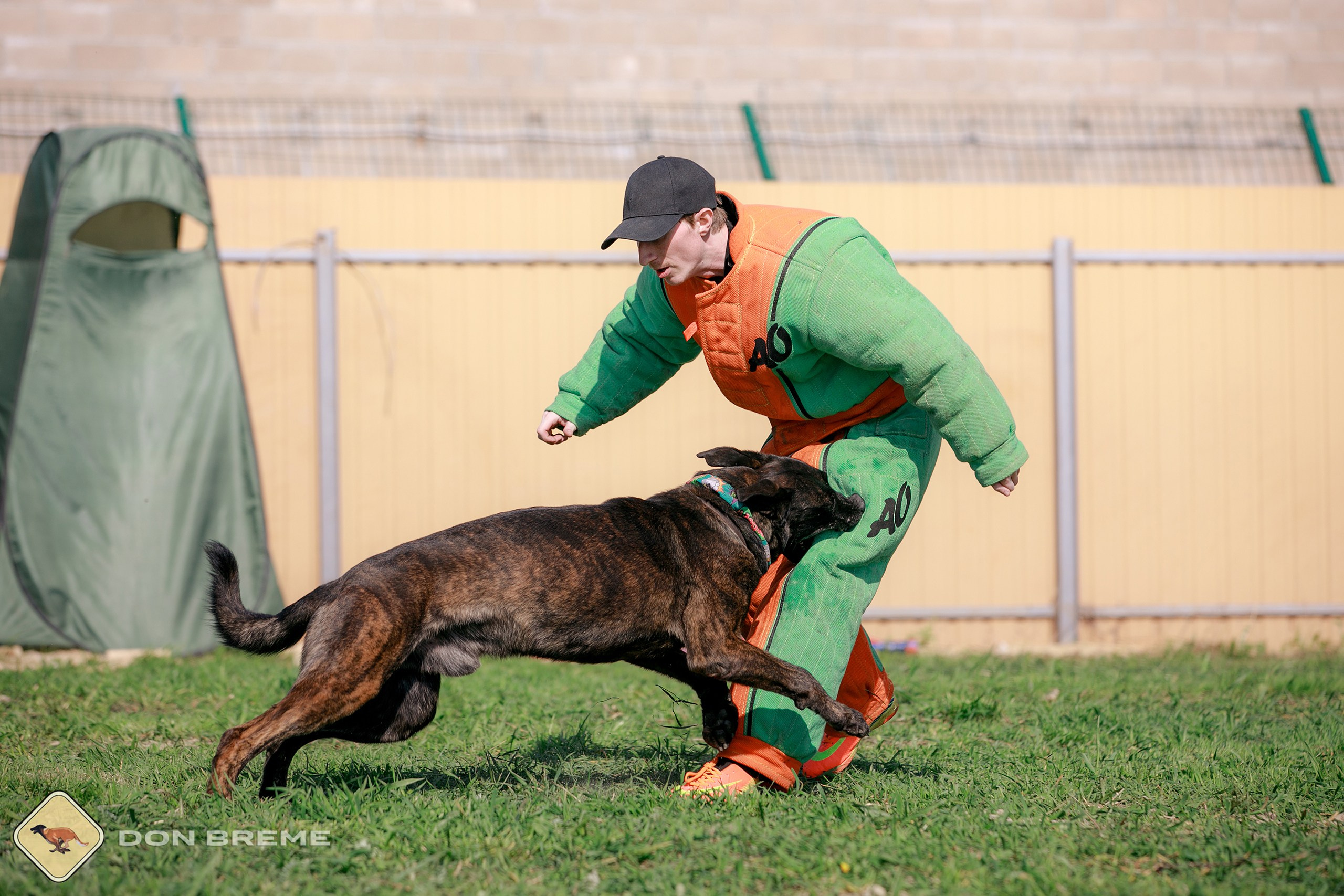 Семинар для фигурантов, день 4. Фотограф-анималист Mary Mart — Москва, Питер