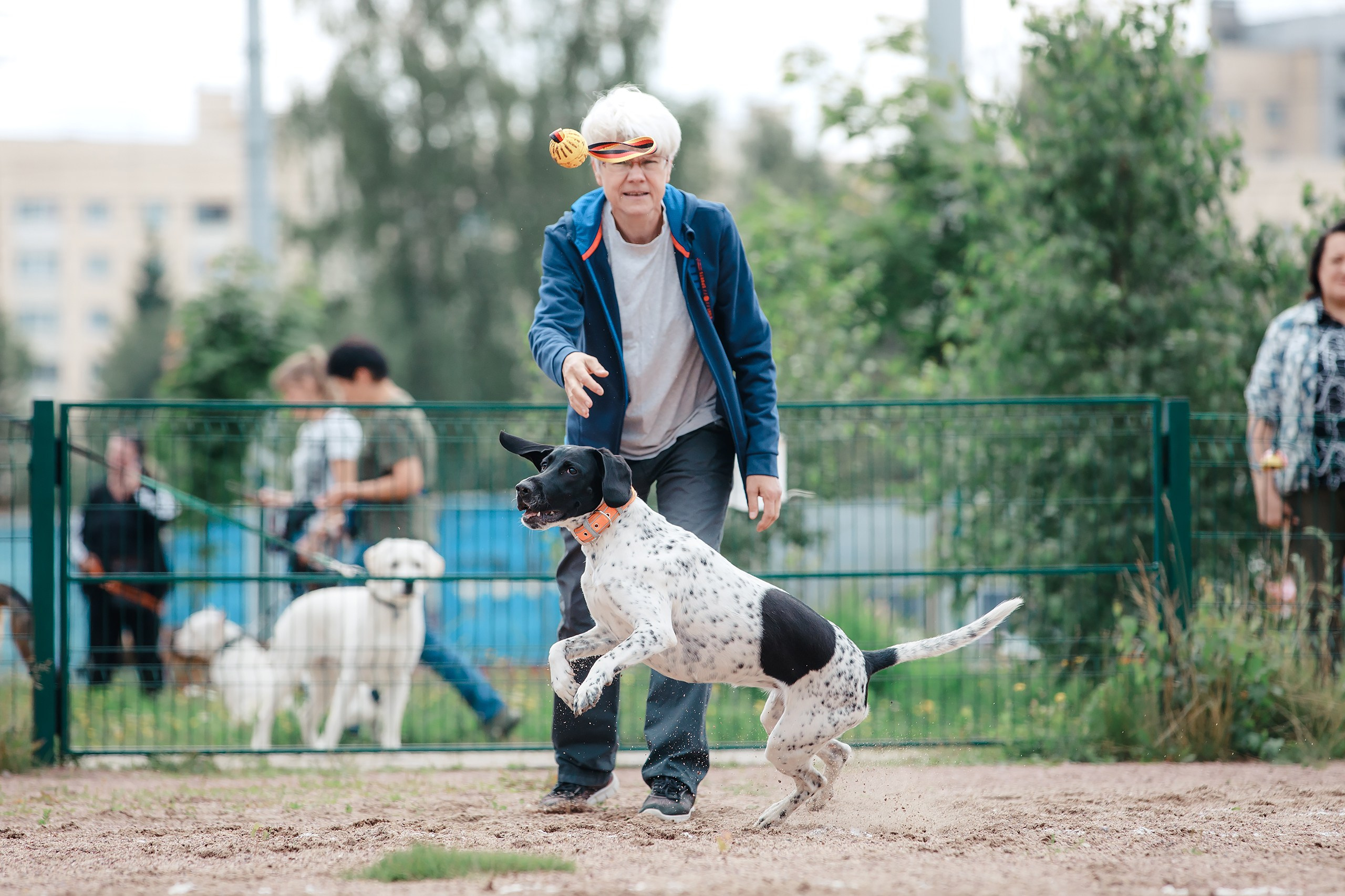 Питч&Гоу + веселые старты. Фотограф-анималист Mary Mart — Москва, Питер