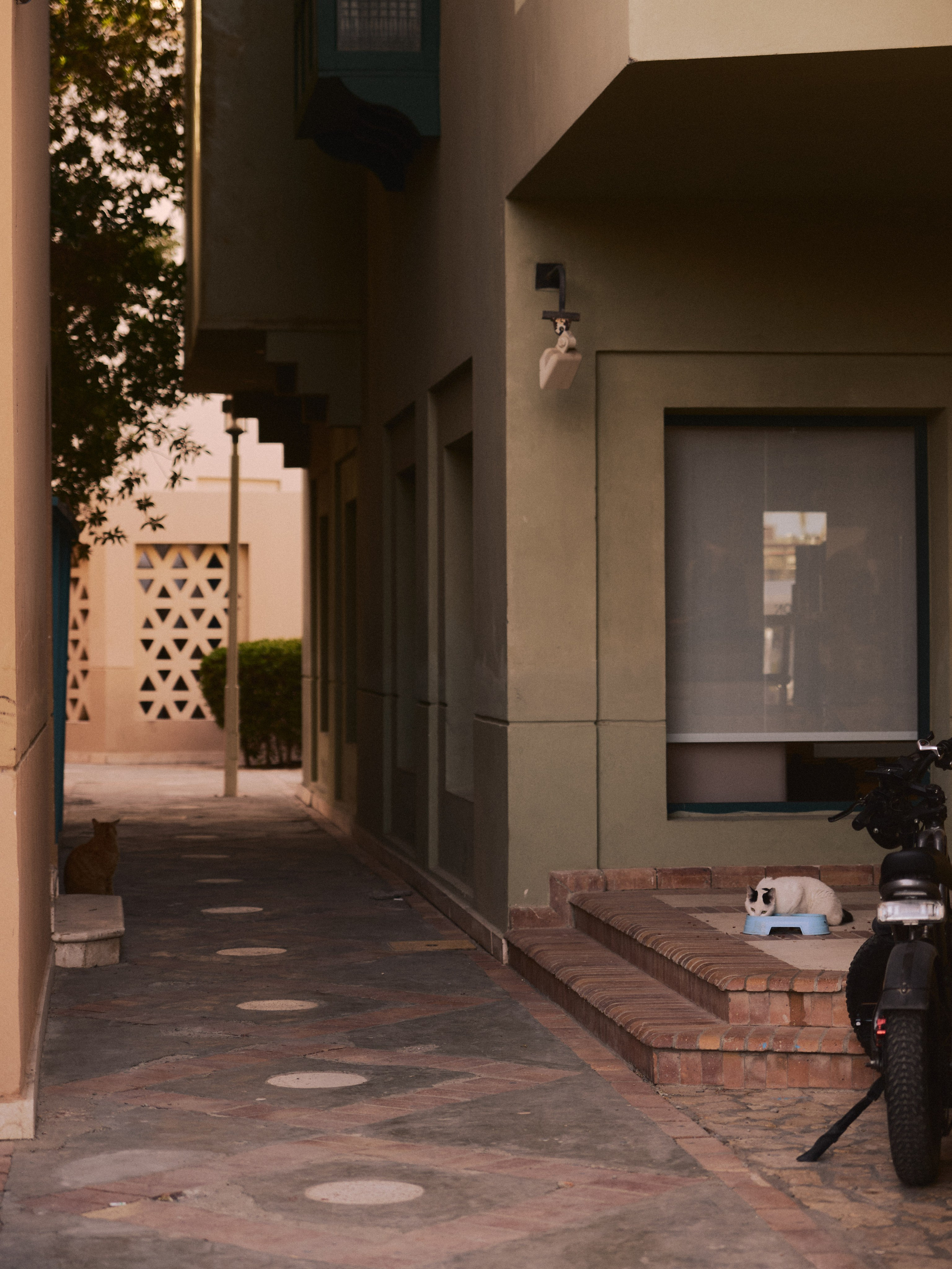 Улицы. Jorgis Talè — photographer, kind person, teacher of arts and other mag