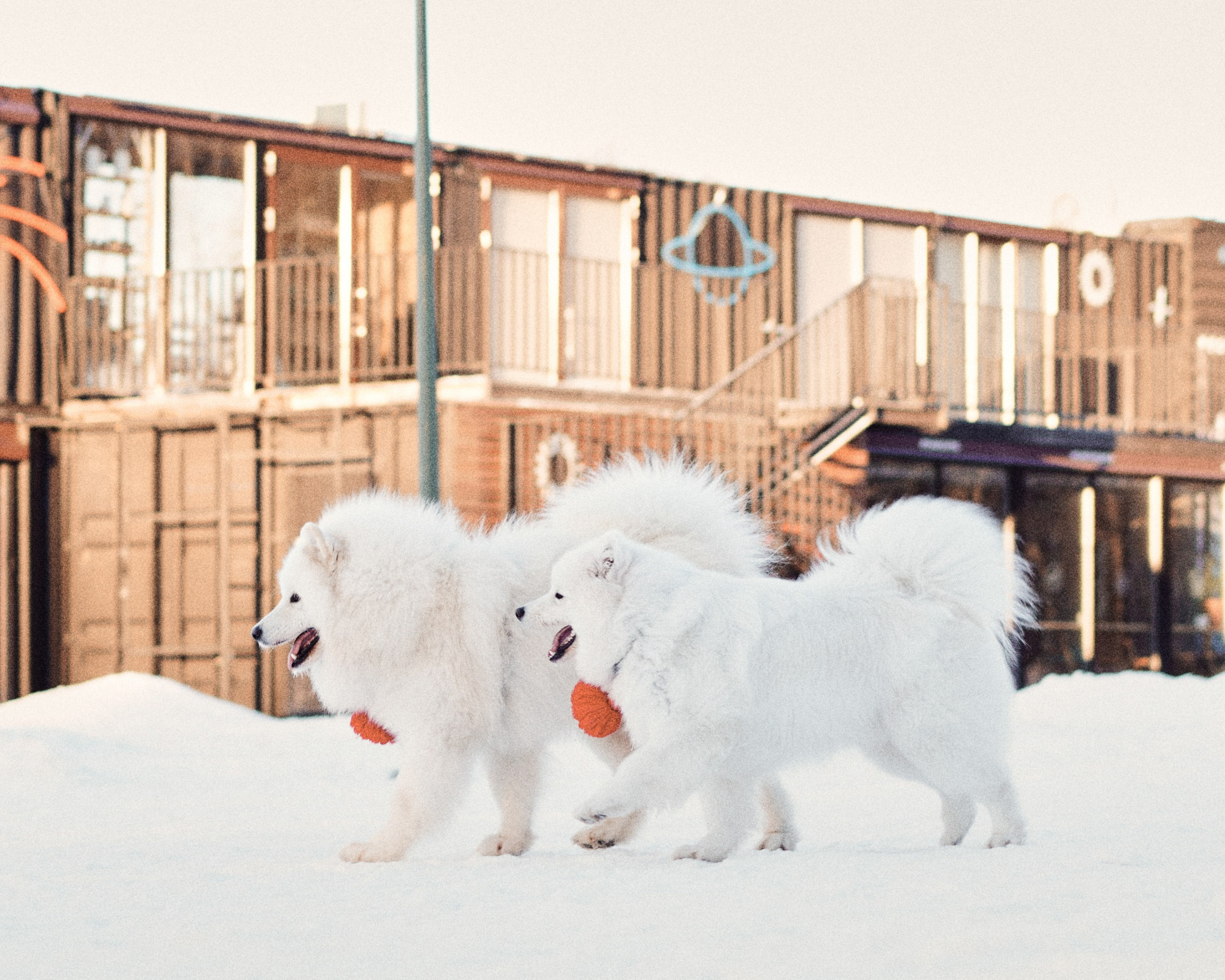 Прогулка морозным утром. Фотограф Казань
