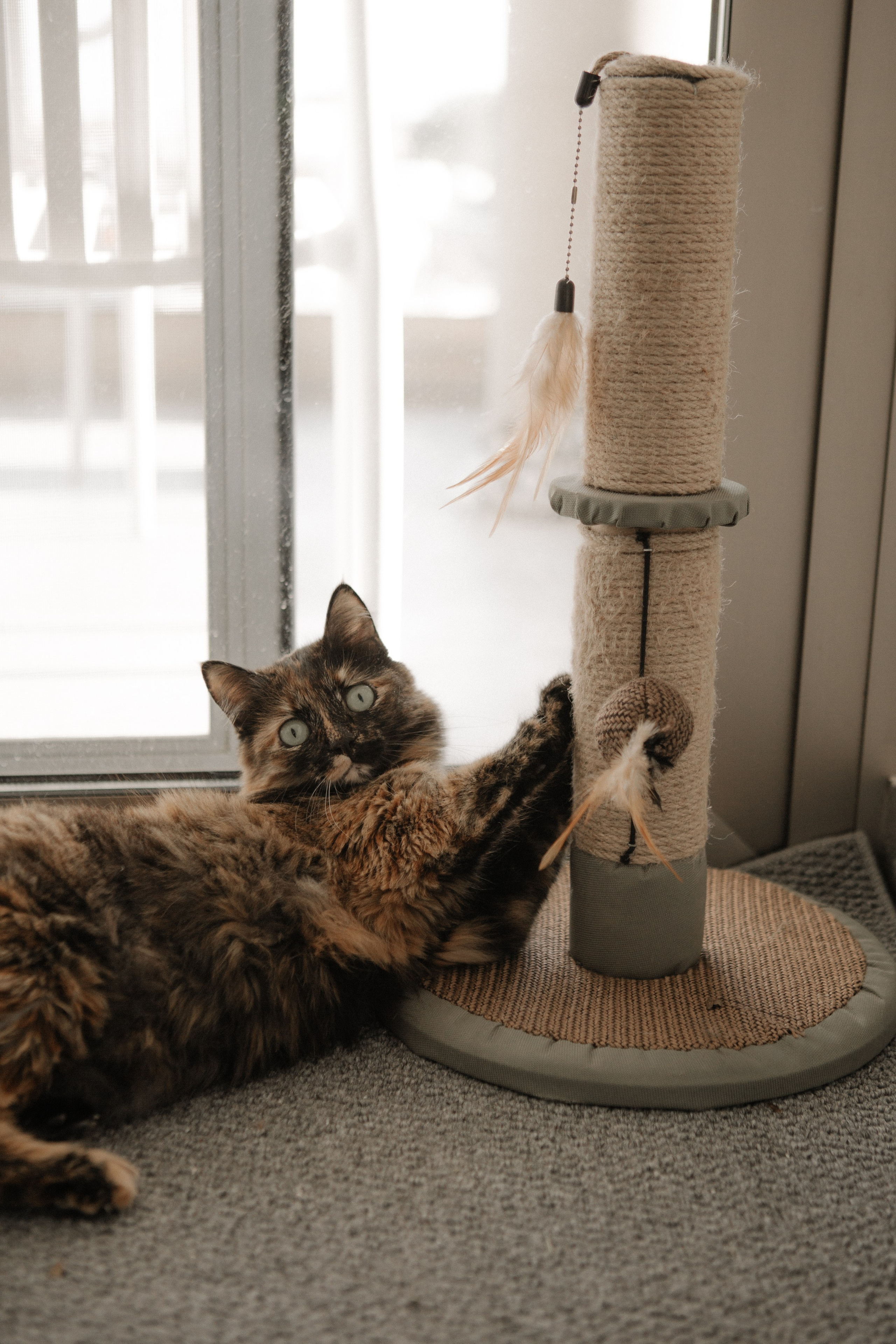 Kira + Katya & Igor. Portrait, family and pet photographer in Cyprus, Ksenia Bourdelle