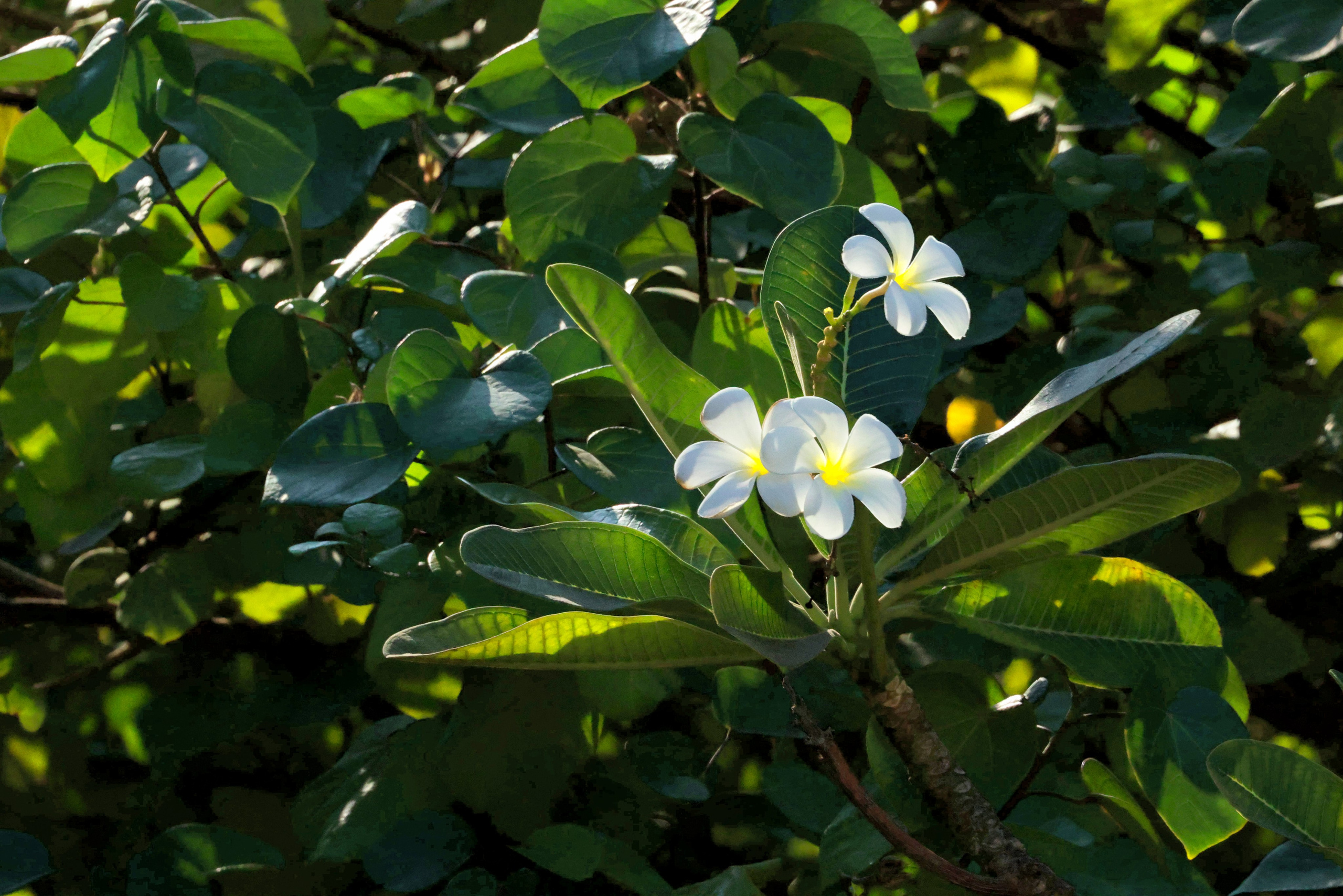 Слепки времени. Фотографии природы и событий. Москва. Сергей Аллагулов