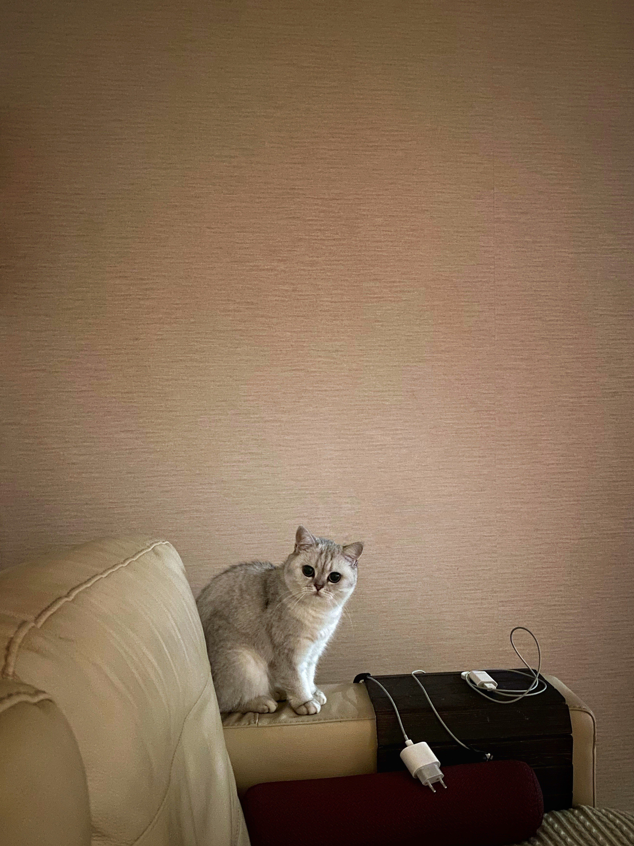 2023. Тащилин Сергей. Фотографии. Жизнь. Хобби