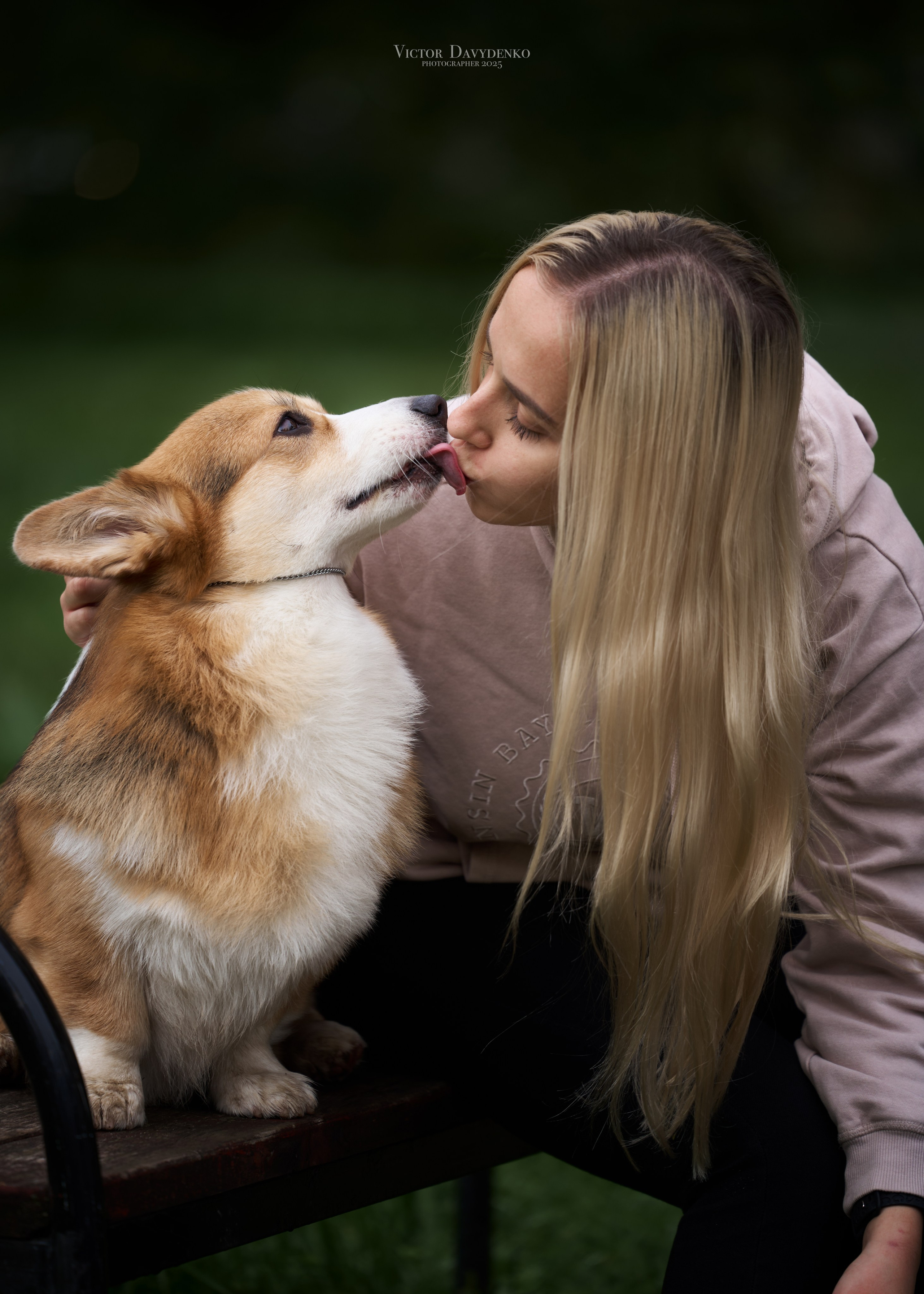 фотограф краснодар сочи , фотосессия в Краснодаре , фотограф анималист , фото с собаками , фото с животными 