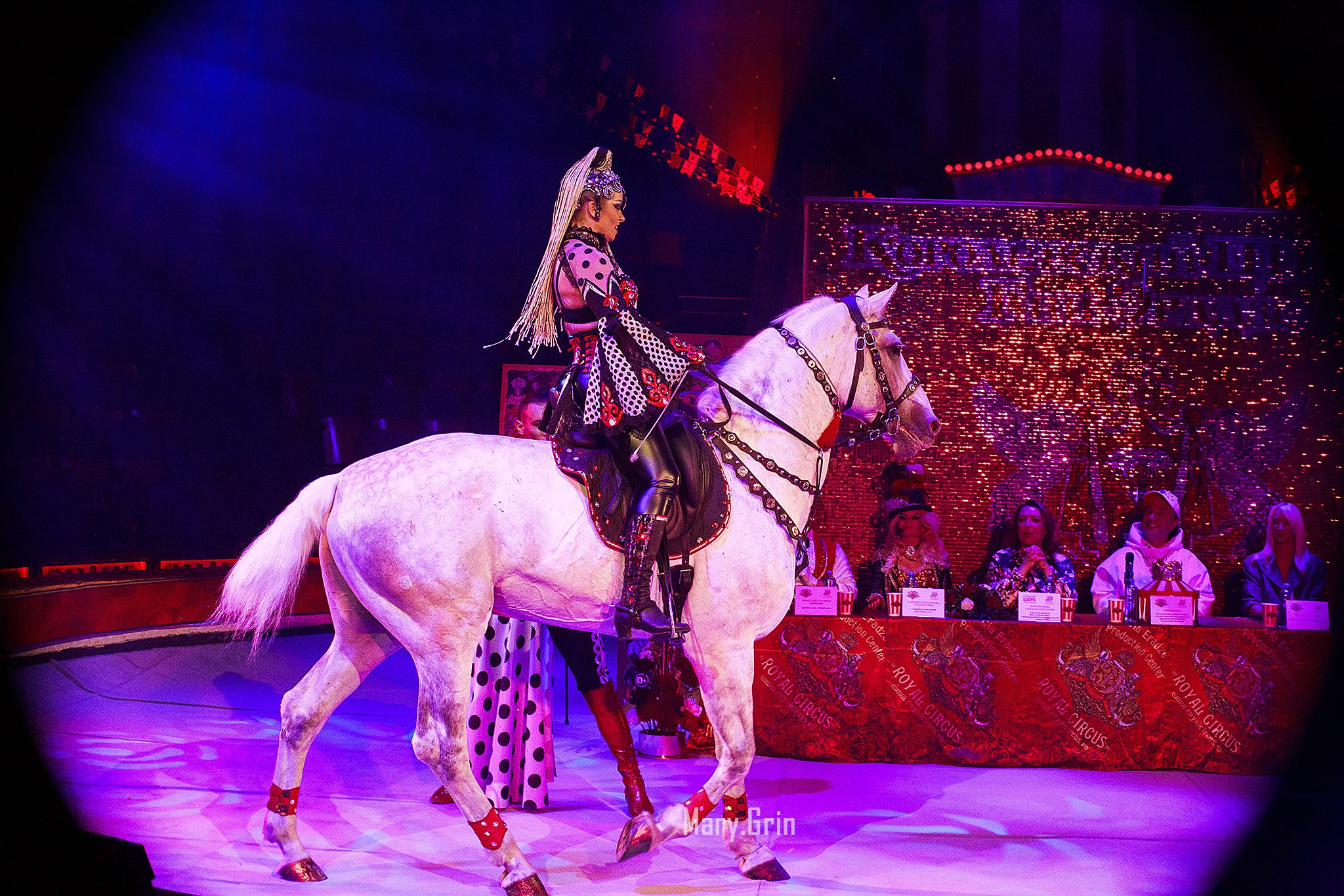 Цирк Гии Эрадзе. Детский и семейный фотограф, фотограф мероприятий Нижний Новгород