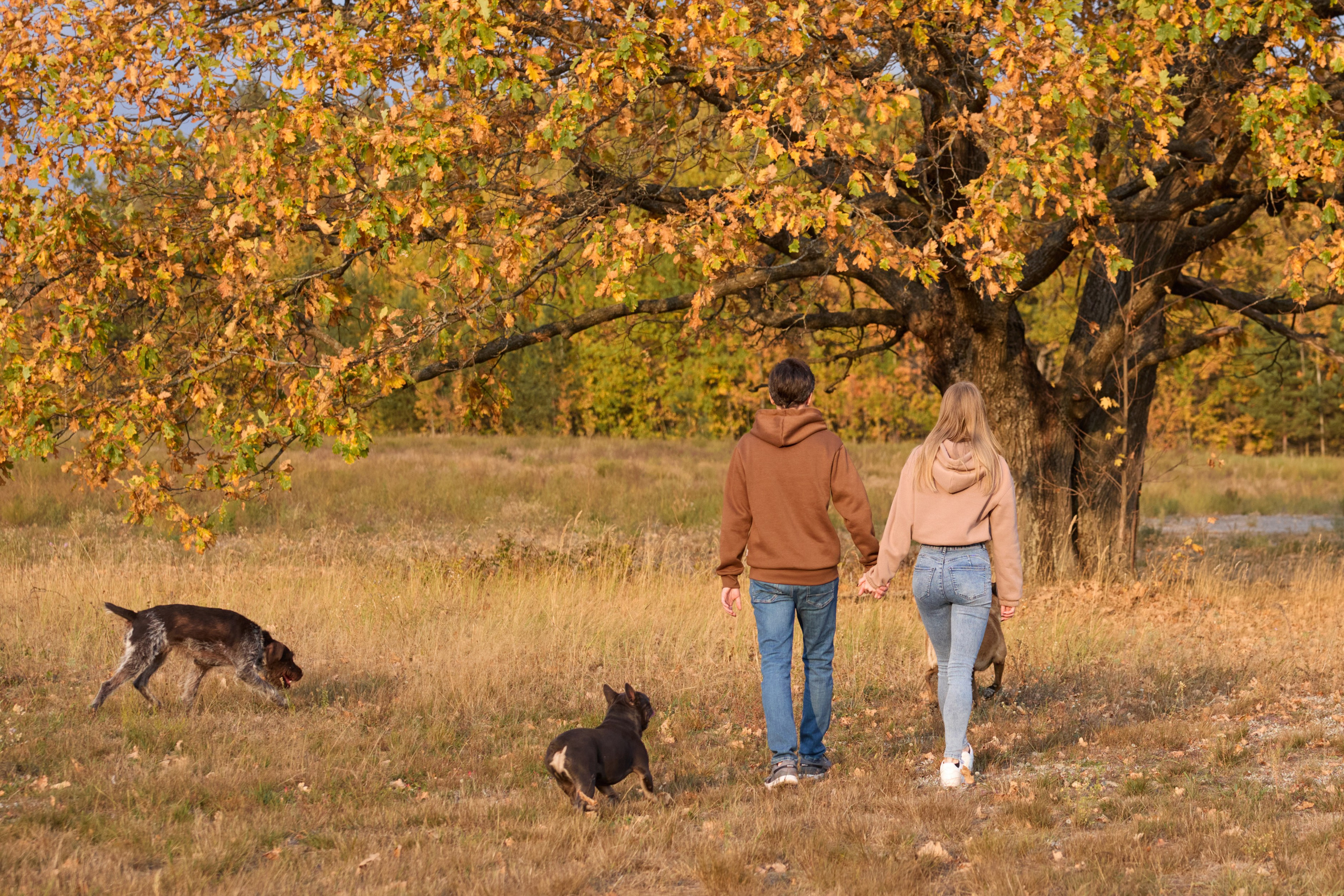 Семейная история. Фотограф анималист в Казани Алина Сулейманова. Фотограф животных
