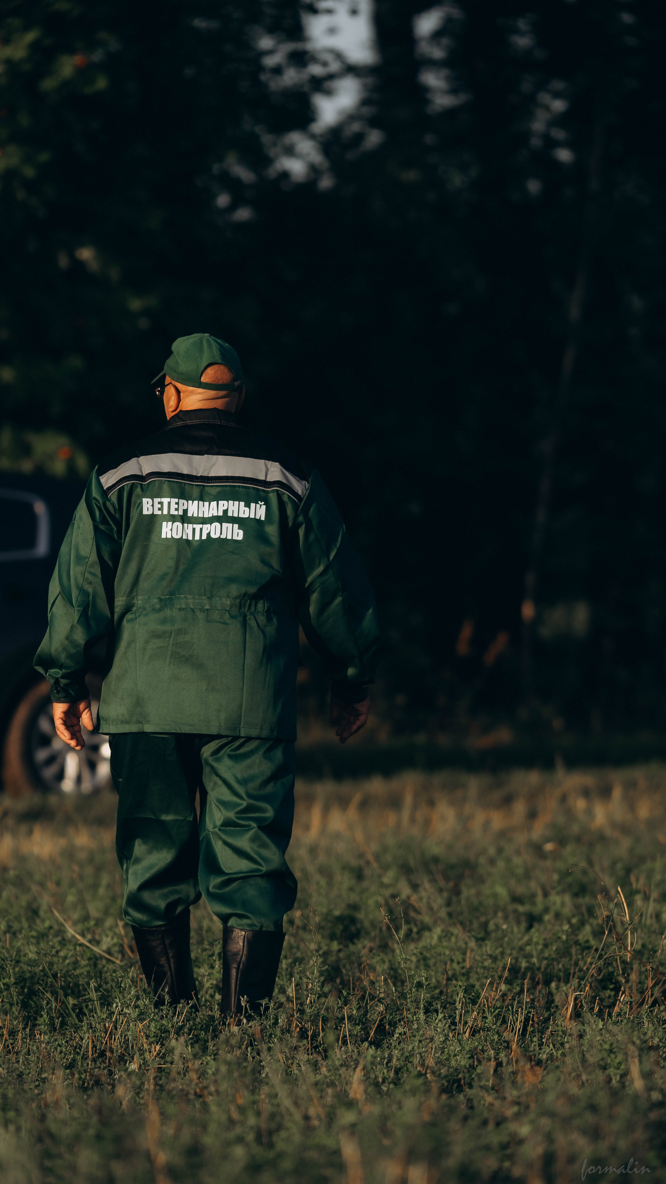 День Коня. Алиса Никитцова | Фотограф в Казани