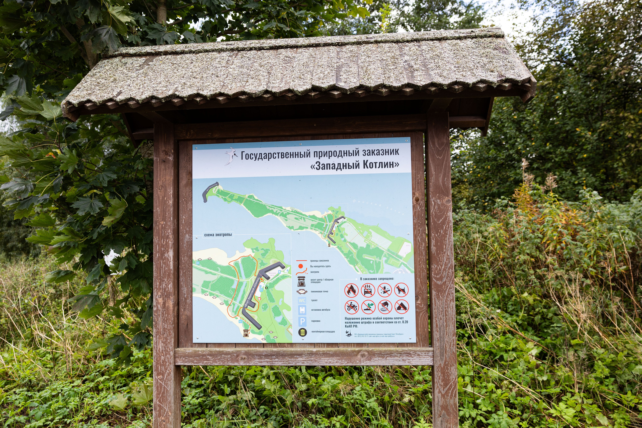 Зеленый пластик. Западный Котлин. Фотограф/видеограф в Санкт-Петербурге Динара Гольдина