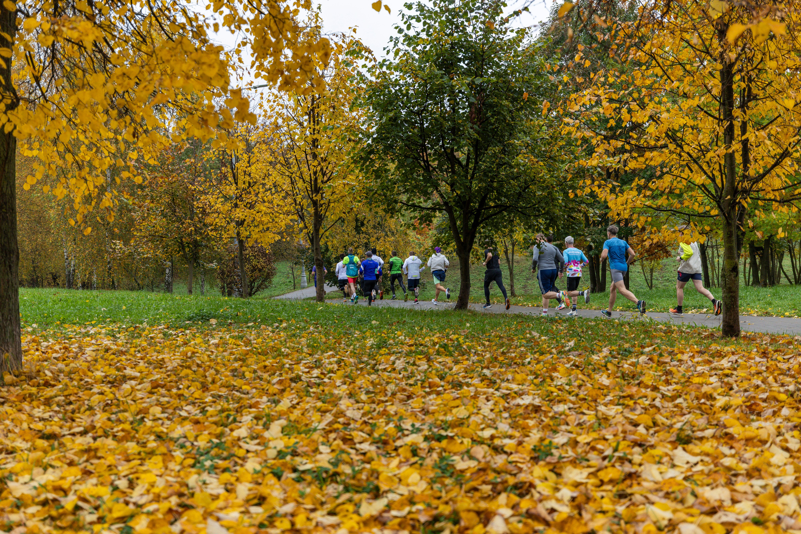5 вёрст в Митино, 11.10.25. Фотограф Сергей Ловкий