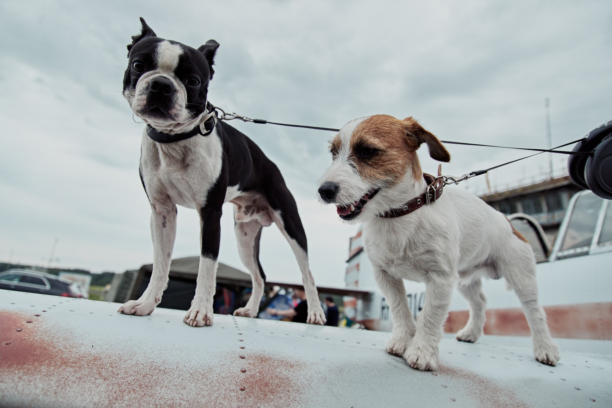 Репортаж. Общее портфолио. Валитов Тимур | Репортажный фотограф