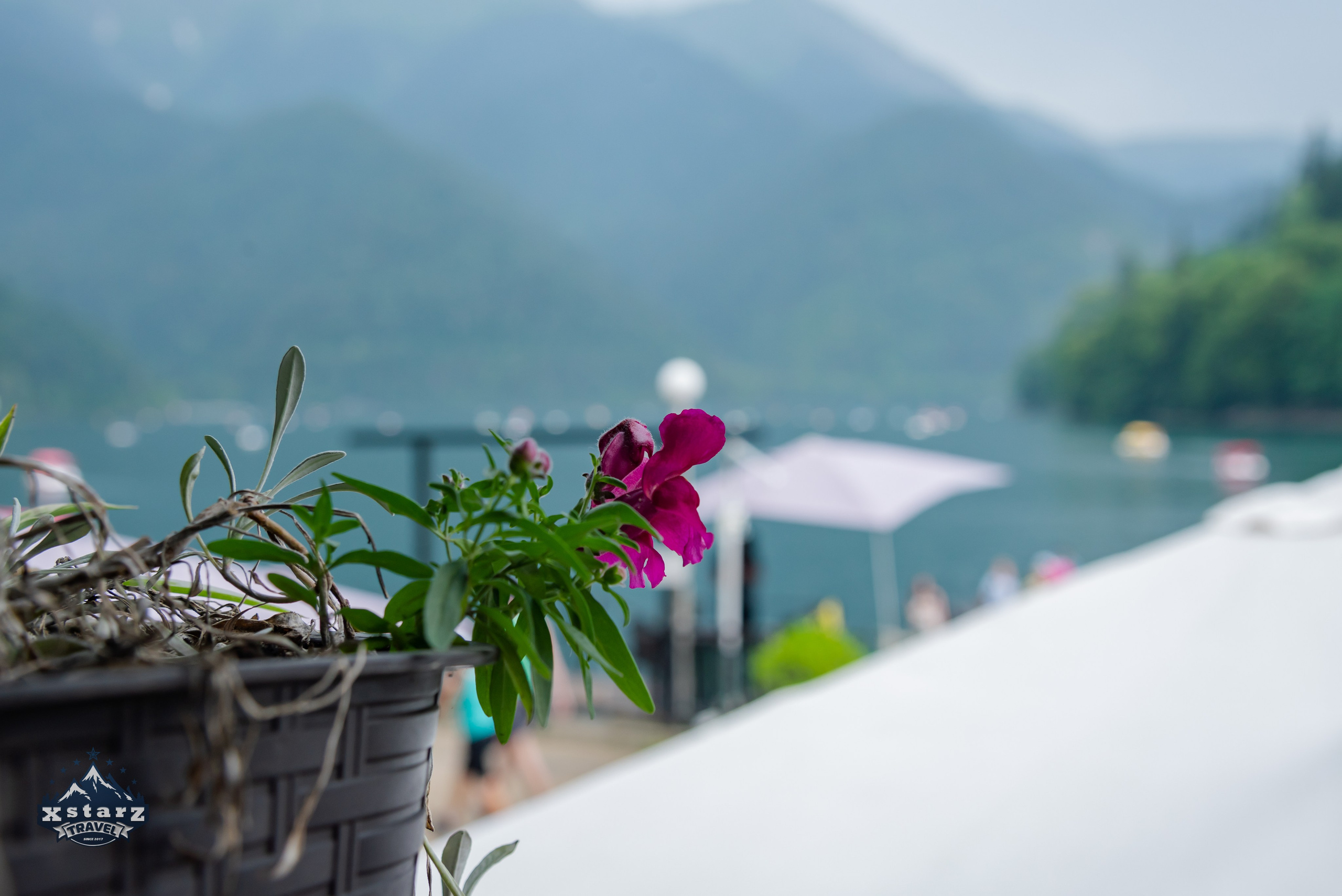 Тур в Абхазию. Фотограф Галина Нестерова