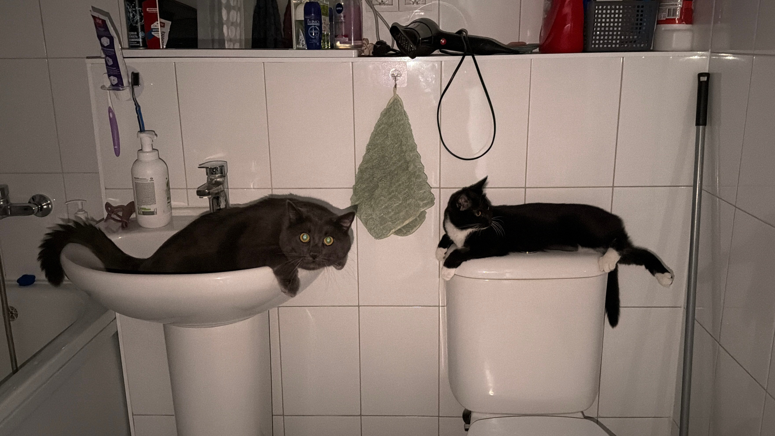 Визуальный дневник. Портретный фотограф в Москве Гахраманова Екатерина