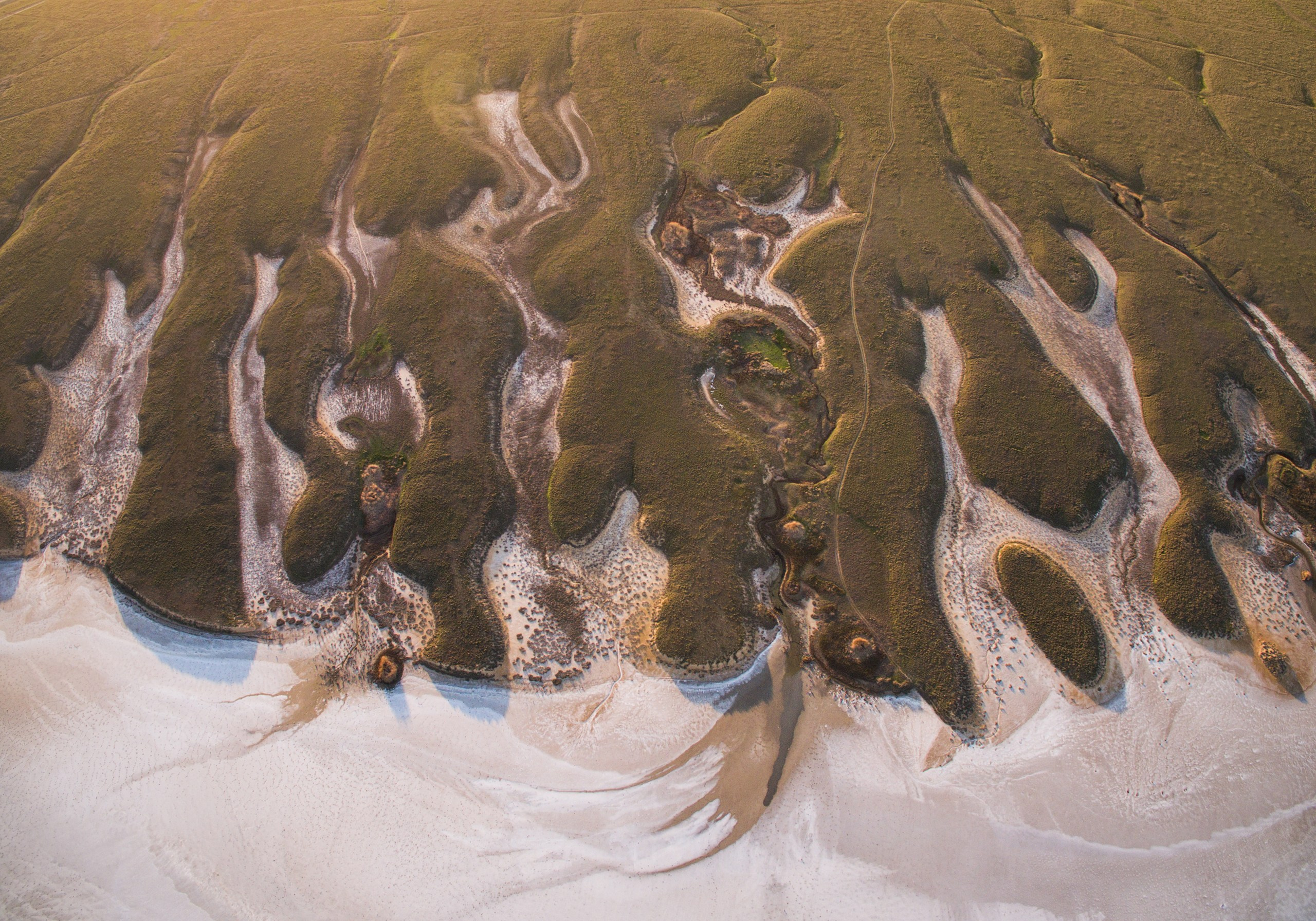 Озеро Эльтон. Фотограф Владимир Медведев