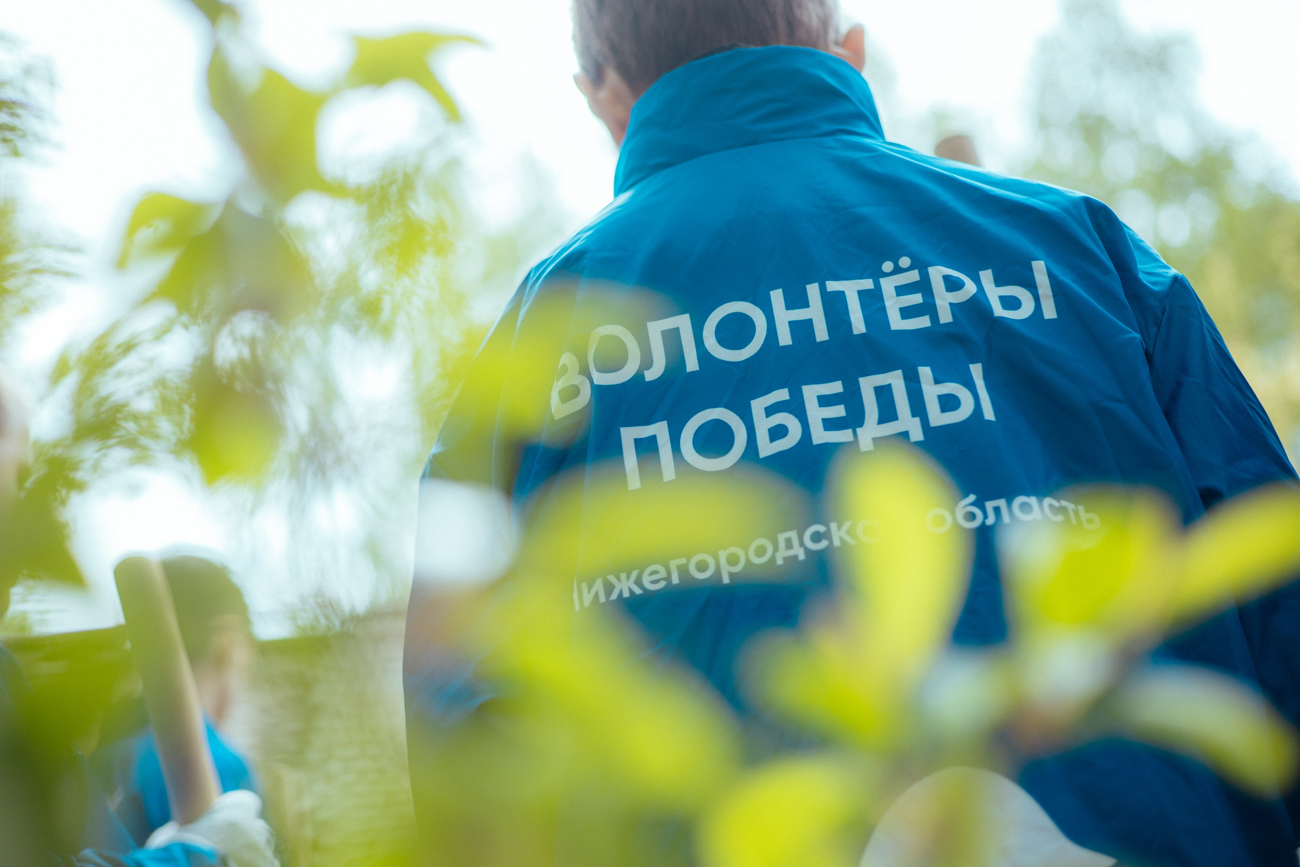 Сад памяти | волонтеры победы