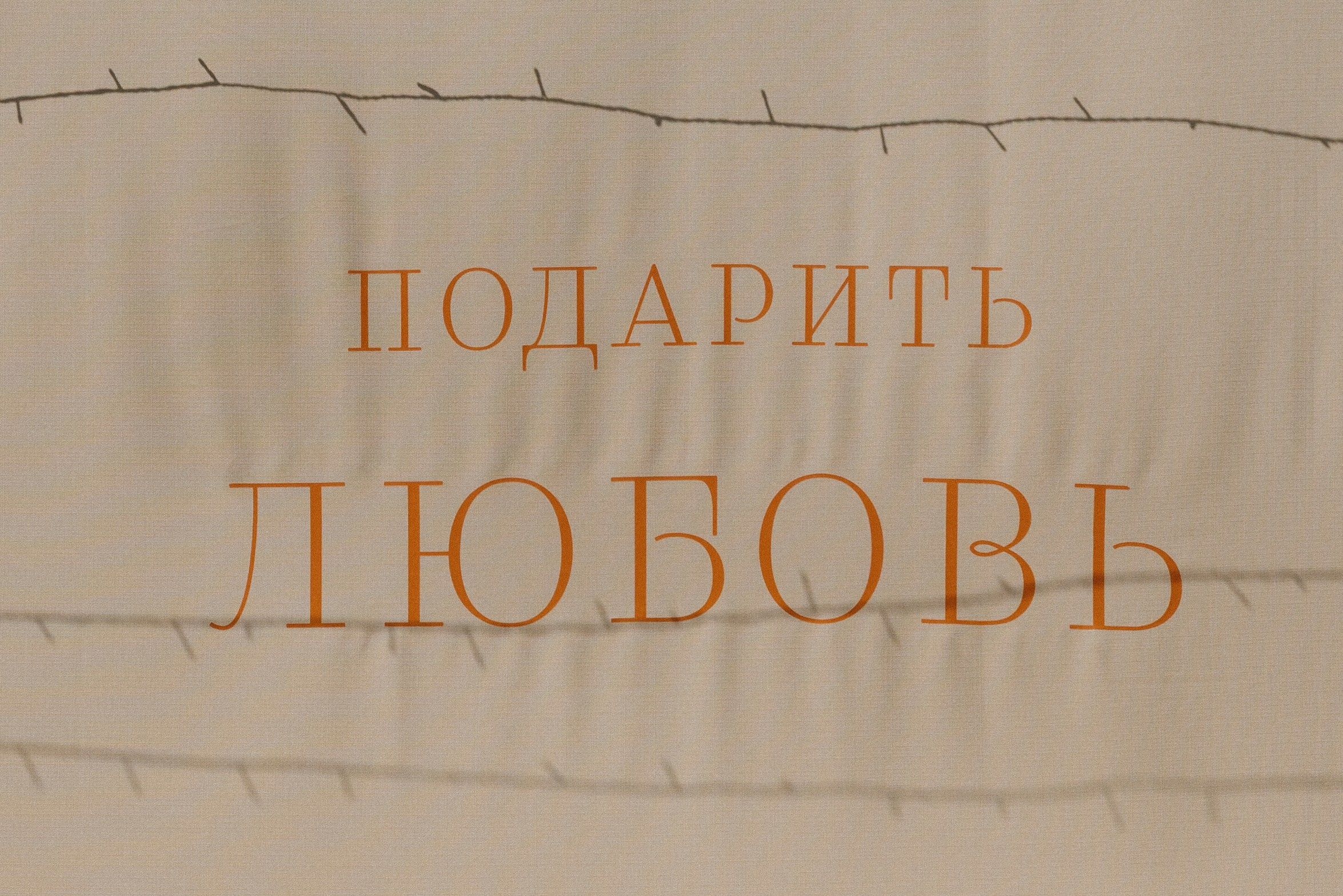 Потанцуй со мной!. Свадебный и репортажный фотограф Новороссийск, Краснодар, Сочи Олеся Дзюба