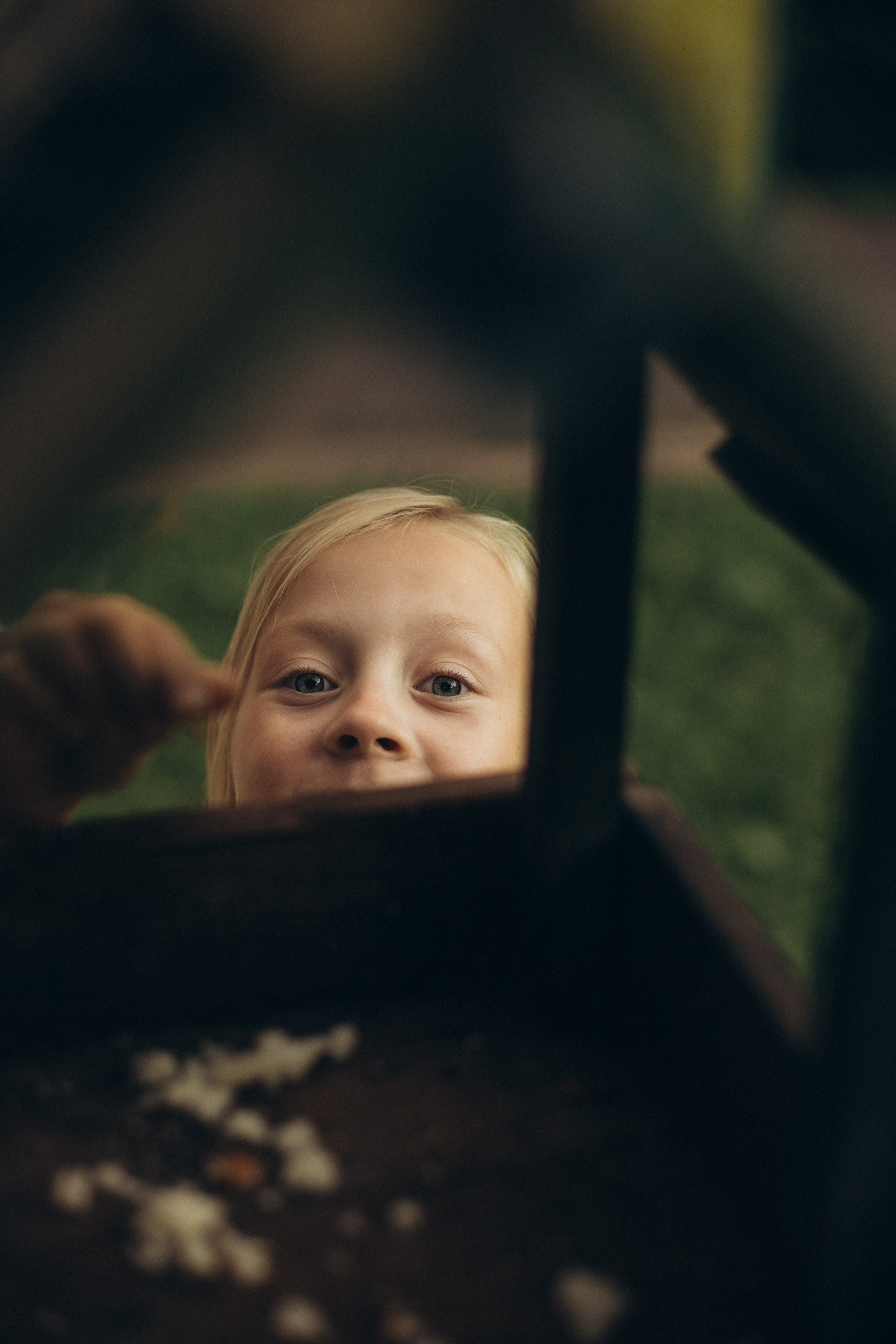 Веселая прогулка. Фотограф из Петербурга