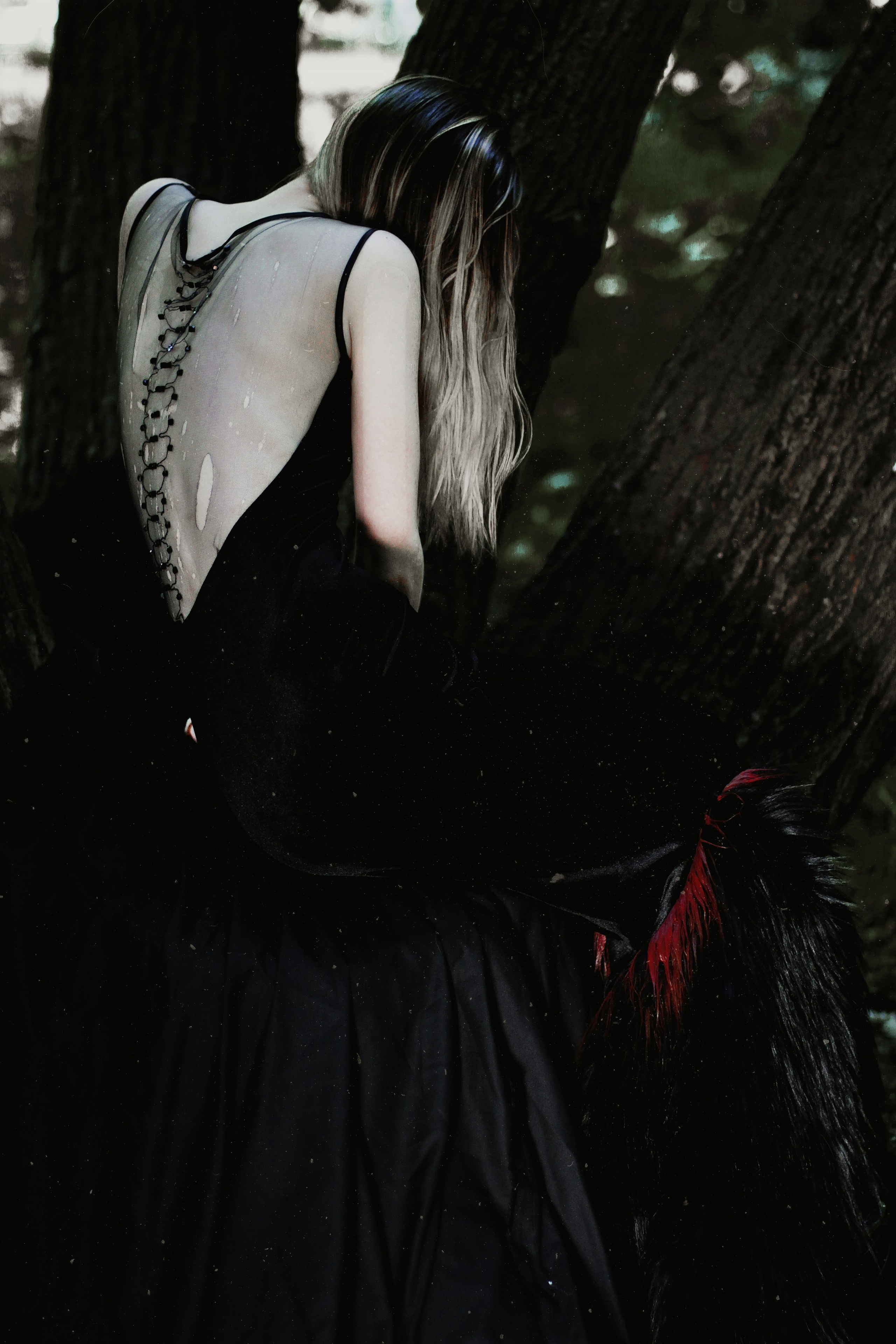 FOREST DEMONS. VLAD MARTYNENKO — stylist & art director