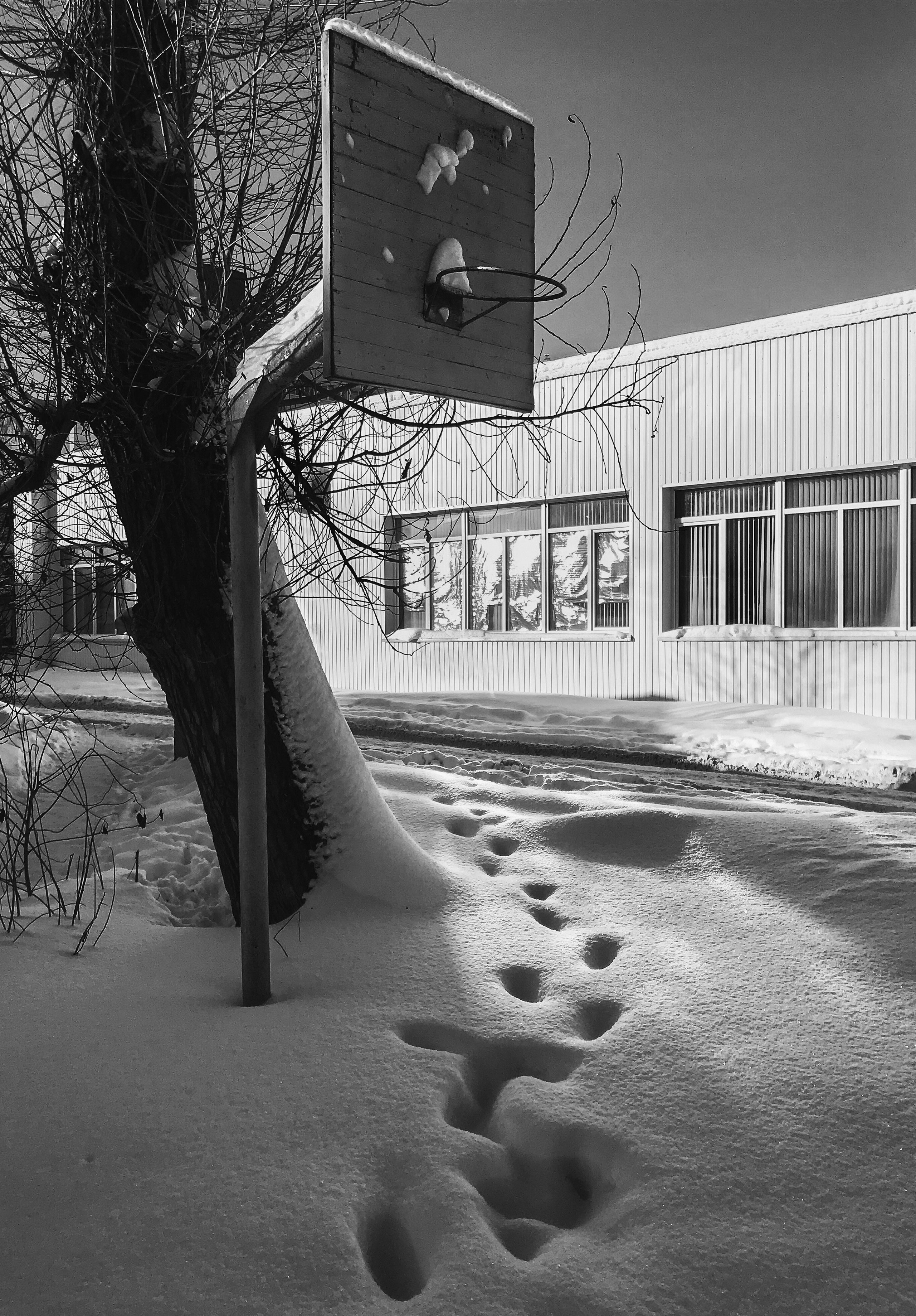 Мобильное фото. Фотограф Семён Родов