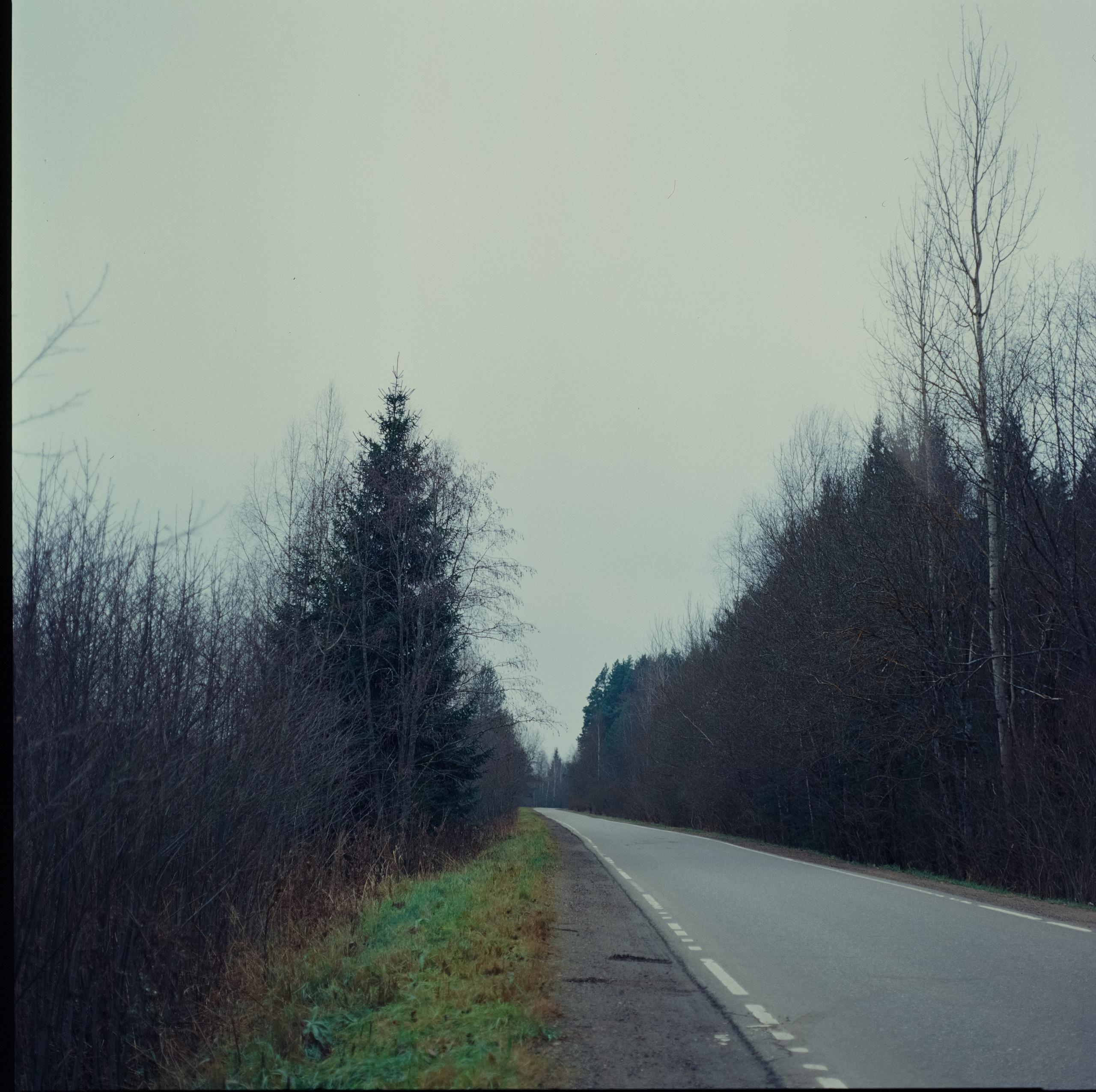 Kowa Super 66 / Kowa 85 mm f2.8 + Kowa 55 mm f3.5 / Kodak Ektachrome E