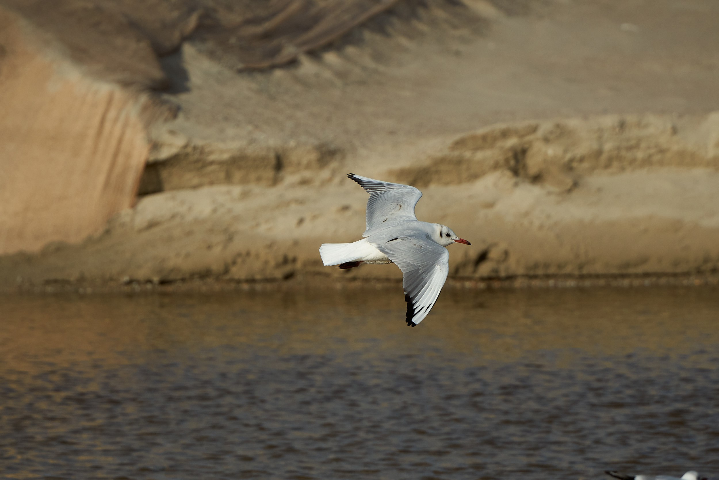 Фотографии улиц и пляжей Анапы. Профессиональный фотограф в Анапе Артем Ковальский
