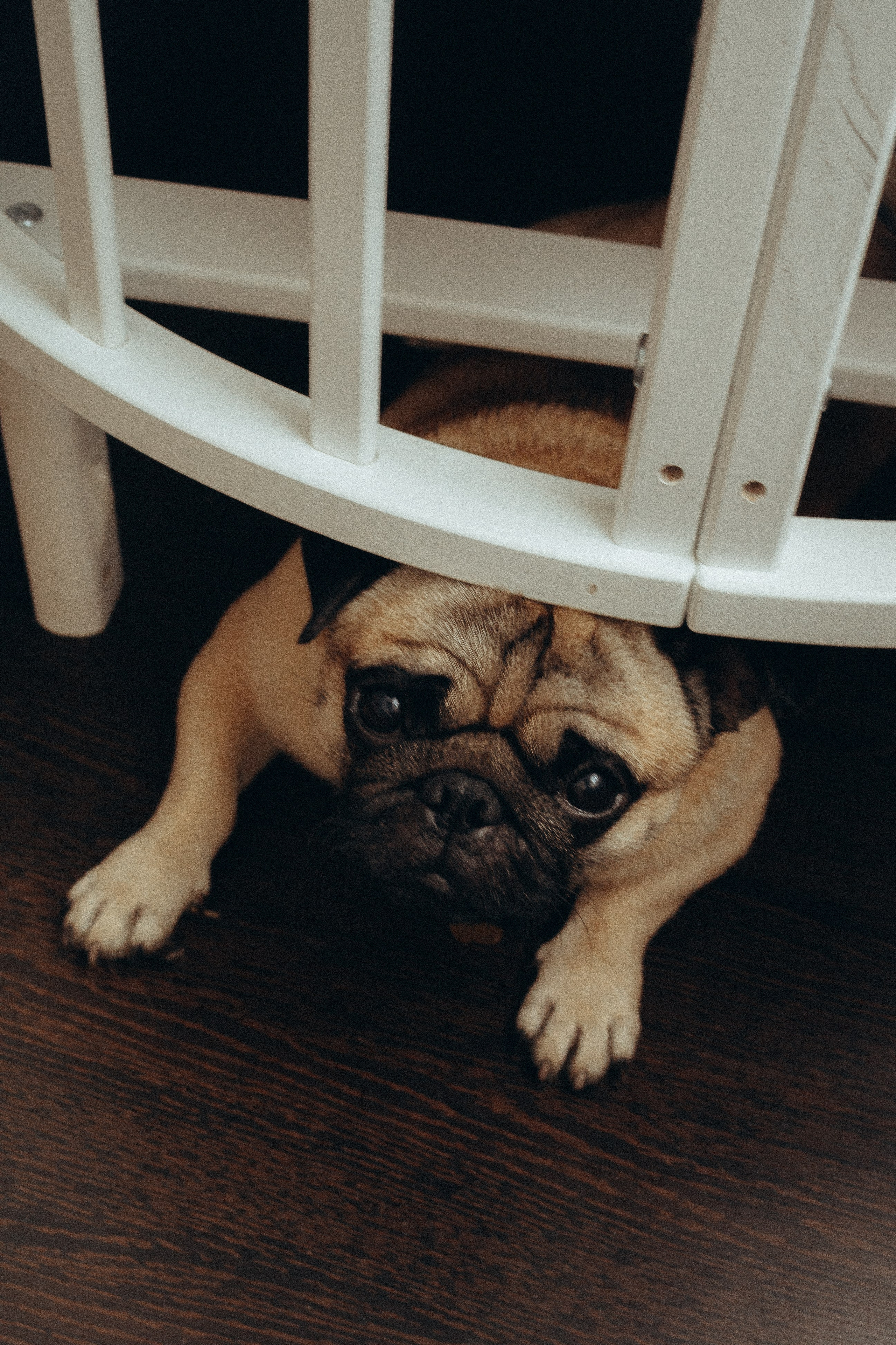 Наш маленький мир. Фотограф Москва Алёна Суворова