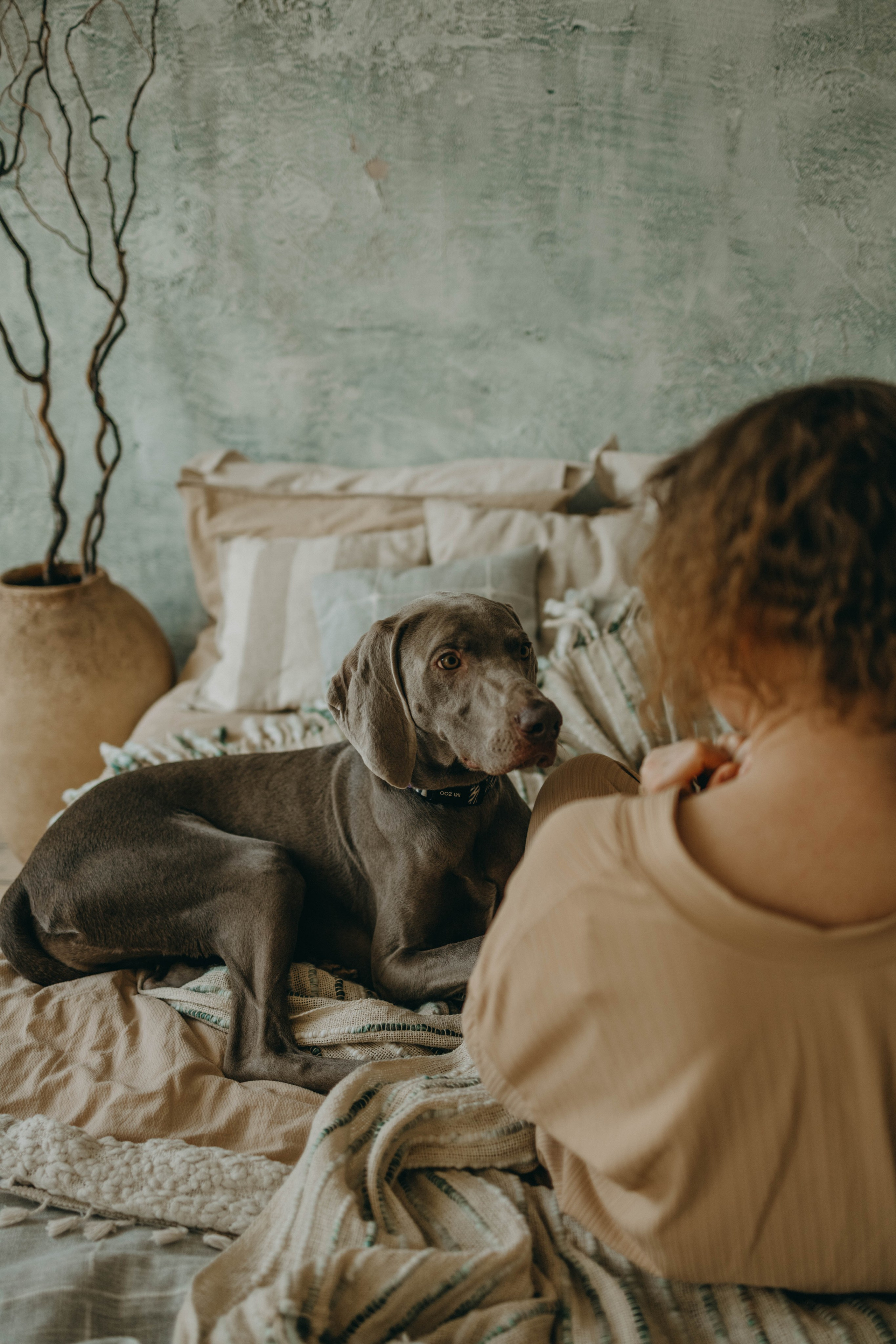Фотосессия в студии с собакой. Фотограф-анималист в Екатеринбурге | Кристина