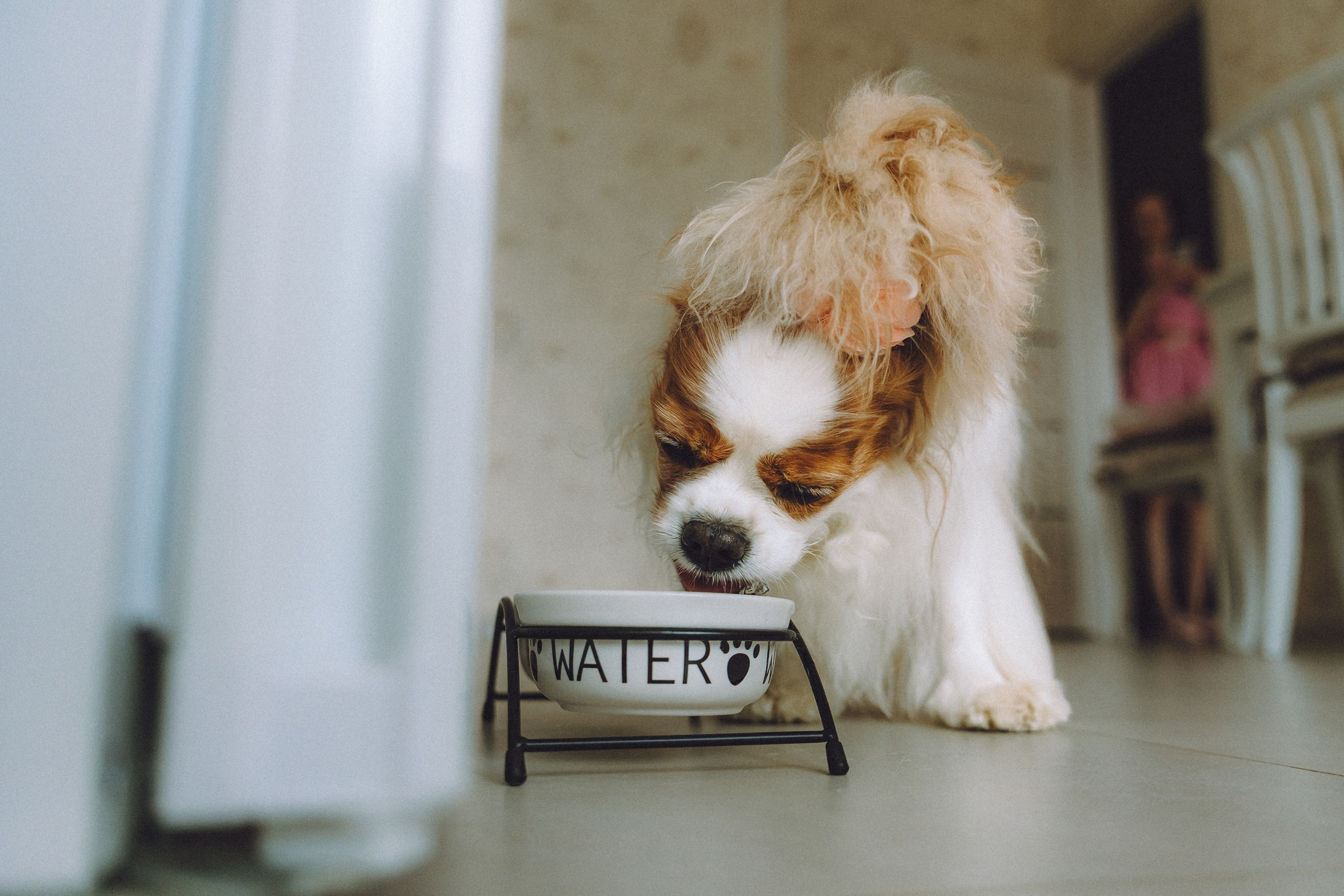 Наташа и Вики