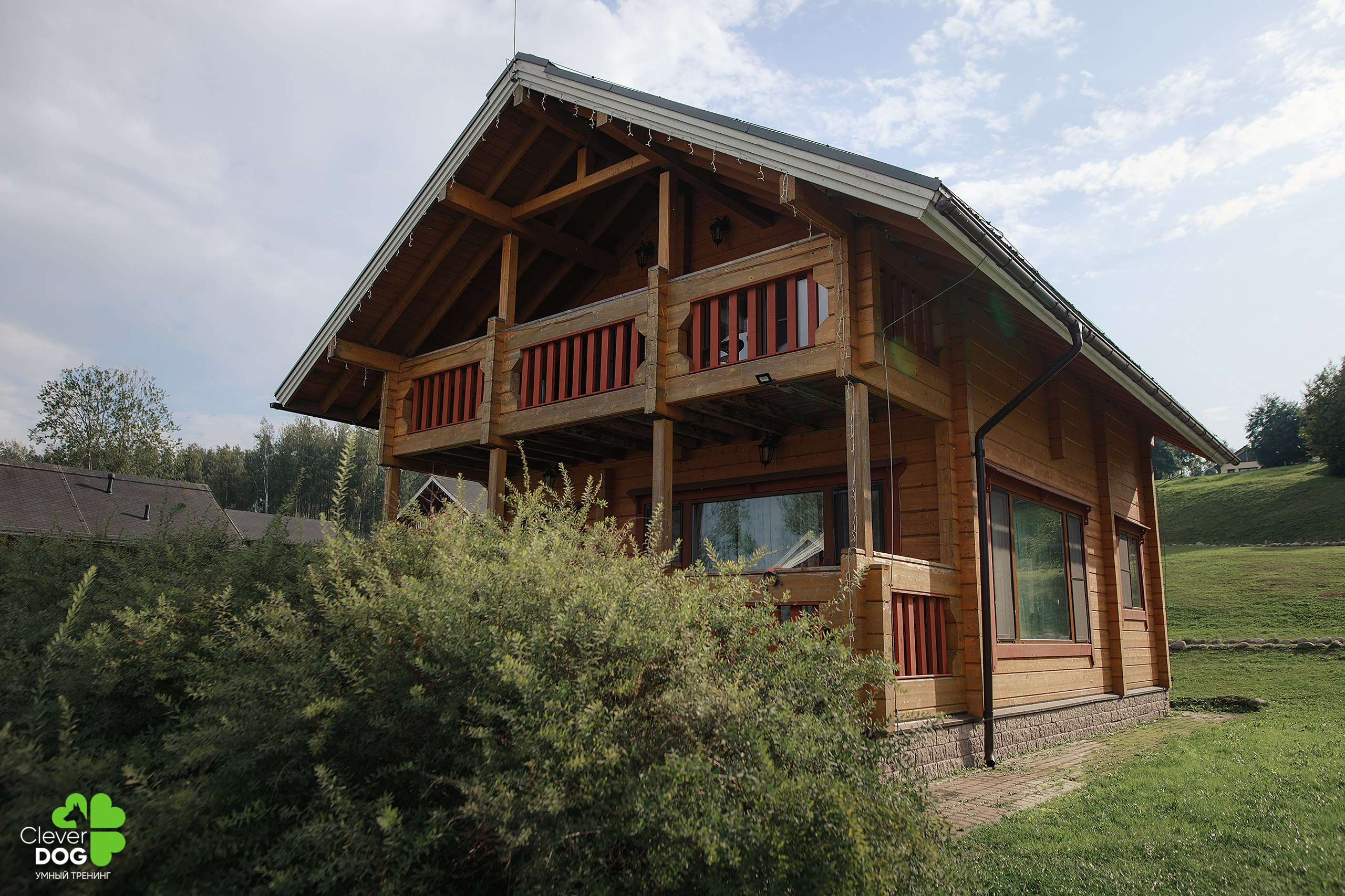 Кинологический лагерь CleverDog, 2024. Фотограф-анималист Mary Mart — Москва, Питер