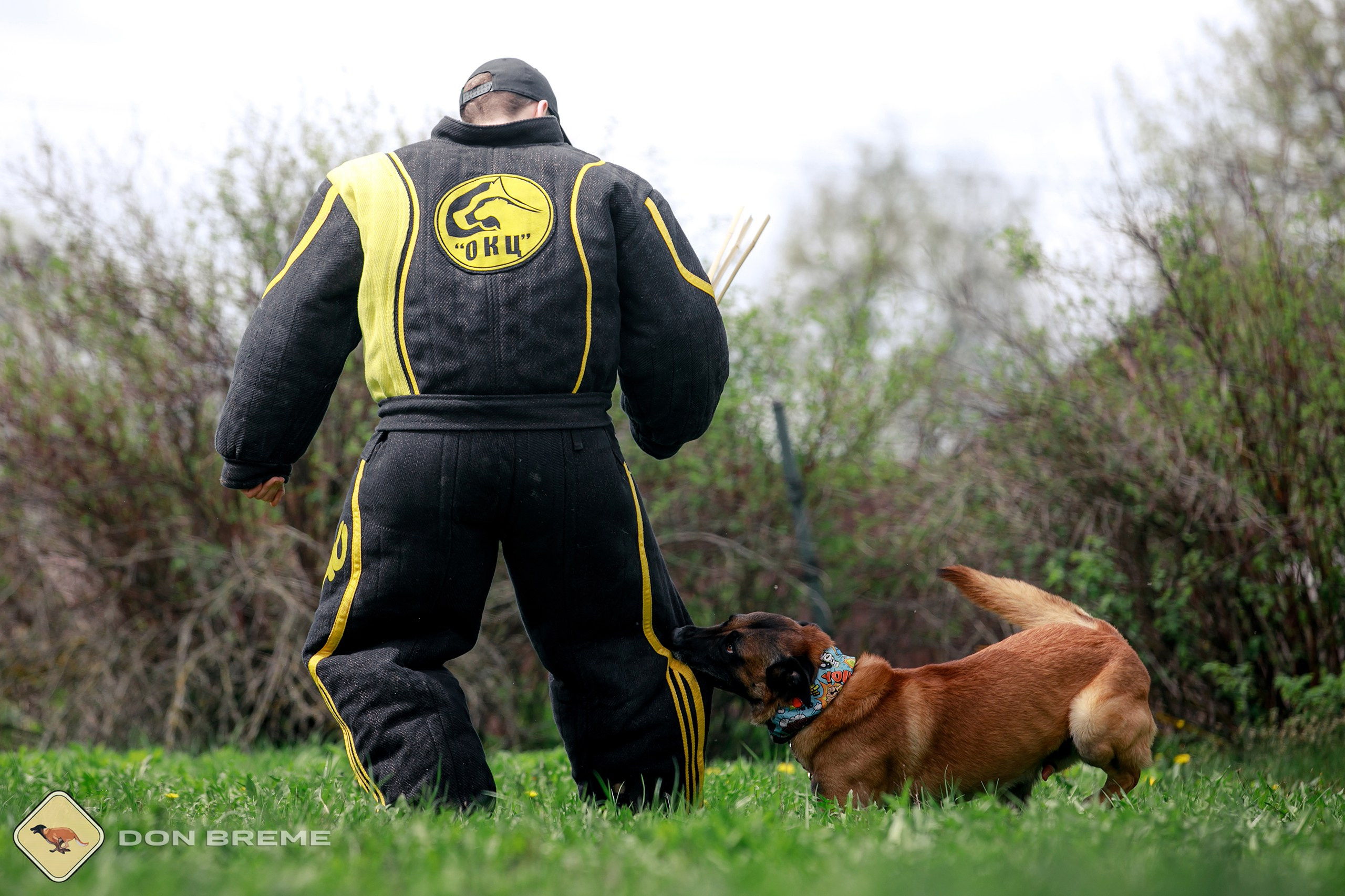 Семинар для фигурантов, день 2. Фотограф-анималист Mary Mart — Москва, Питер