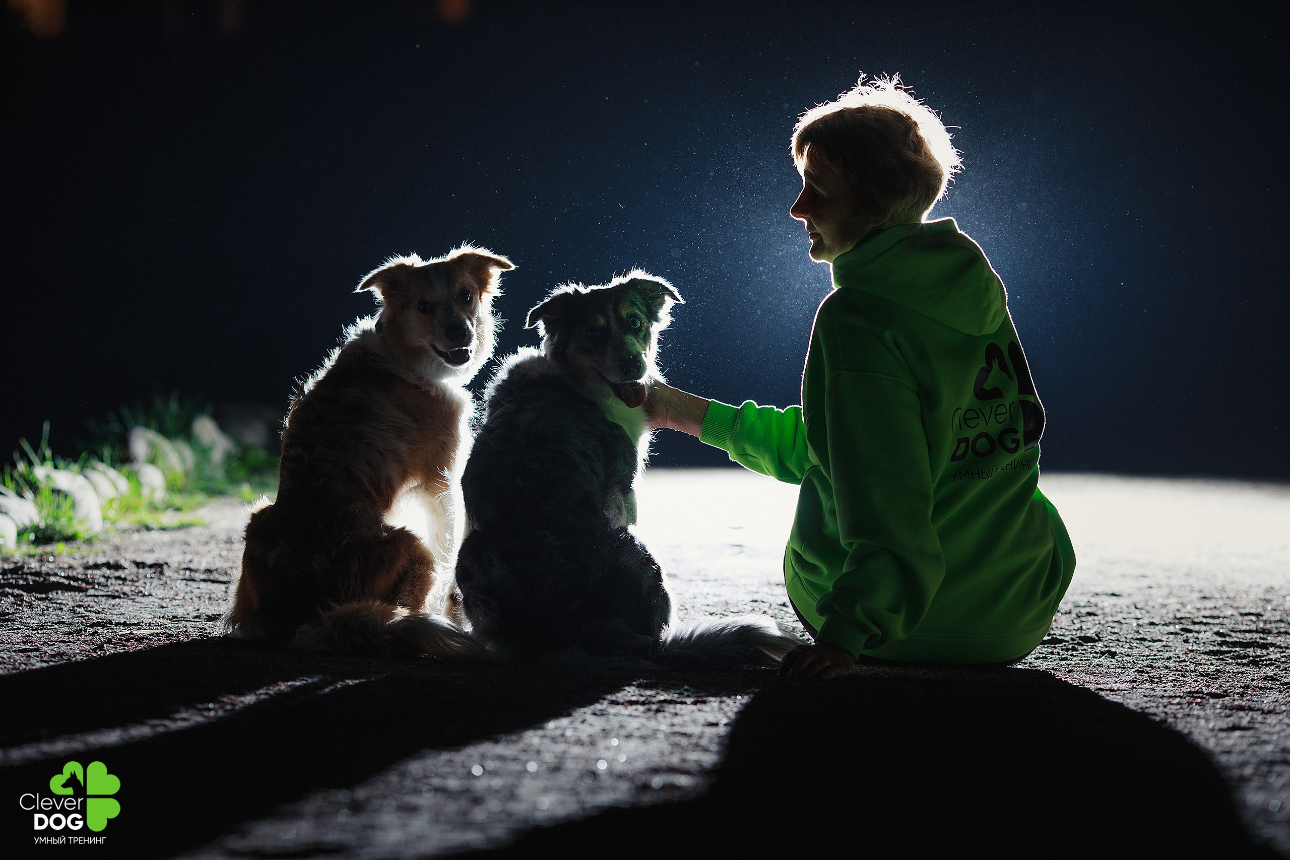 Кинологический лагерь CleverDog, 2024. Фотограф-анималист Mary Mart — Москва, Питер